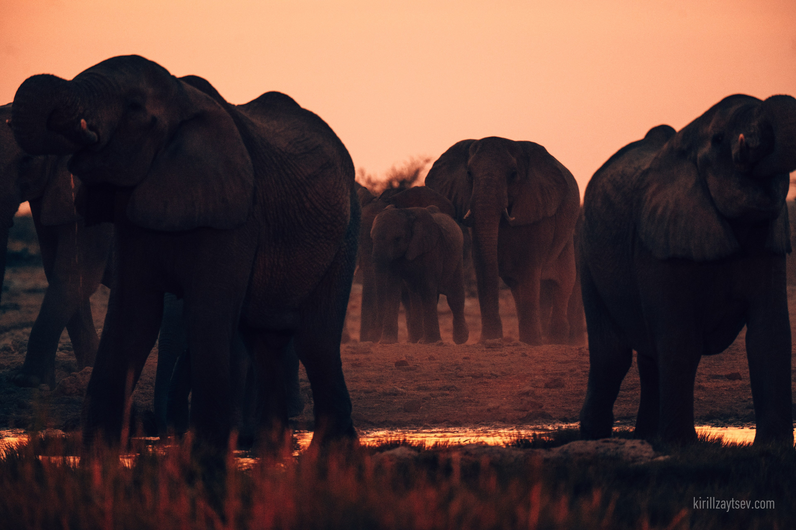 Жизнь. Профессиональный фотограф Кирилл Зайцев