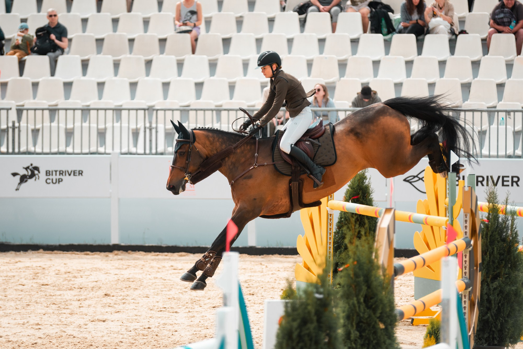 BITRIVER CUP 2023. Конный фотограф Куракина Дарья • Фотосессии с лошадьми