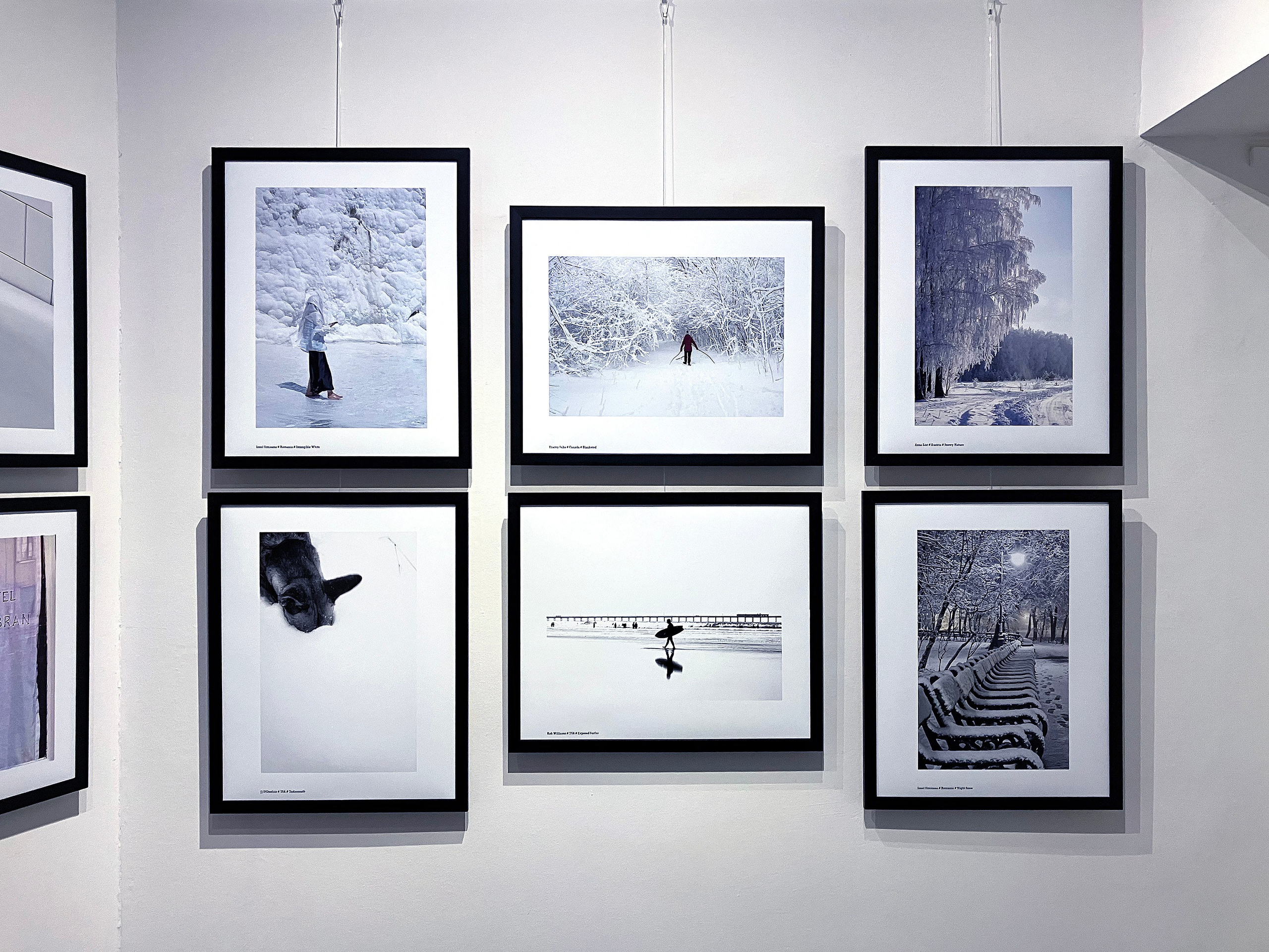 Exhibitions. Author’s fine art prints with international delivery