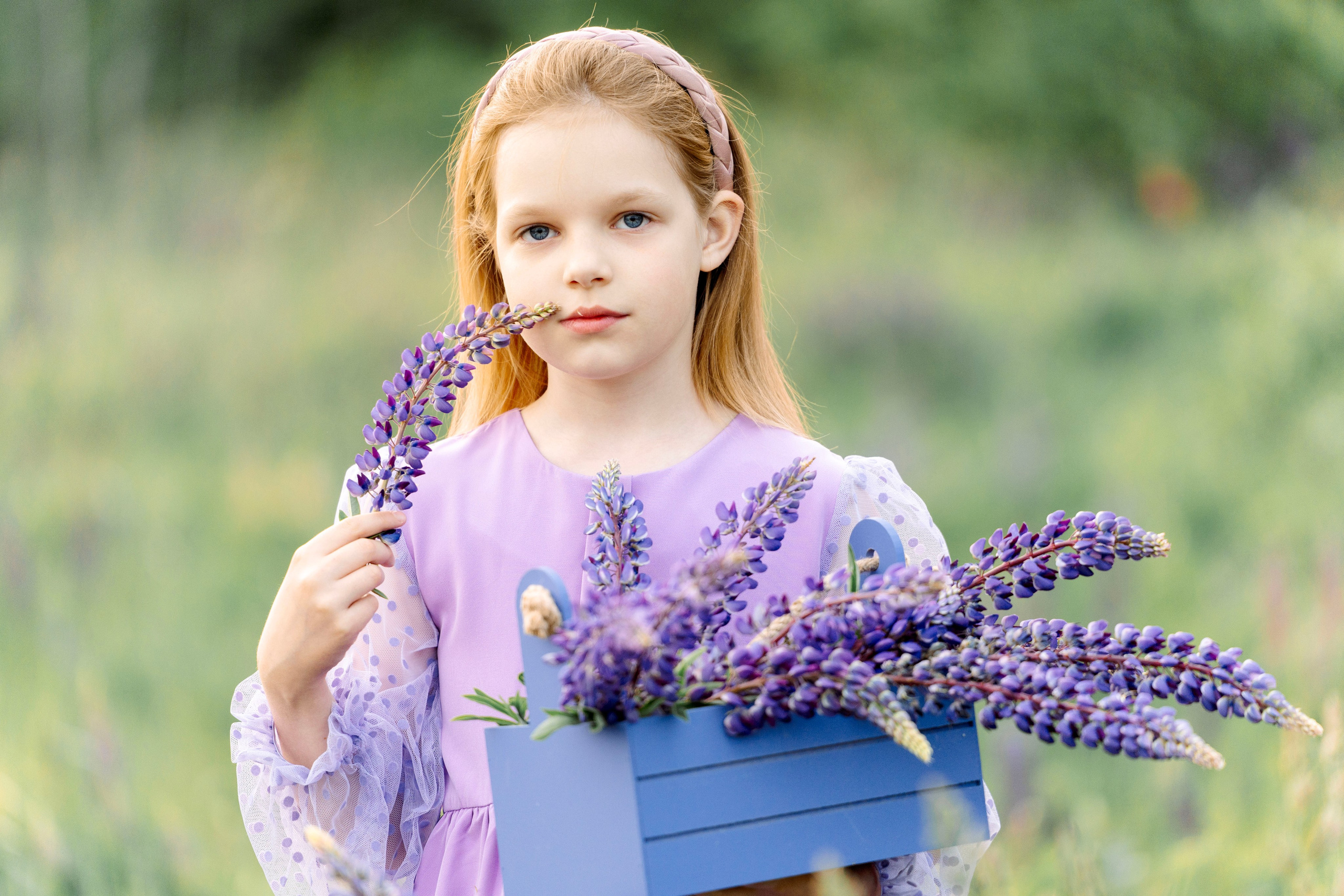 Люпины. Фотограф Юлия Попова
