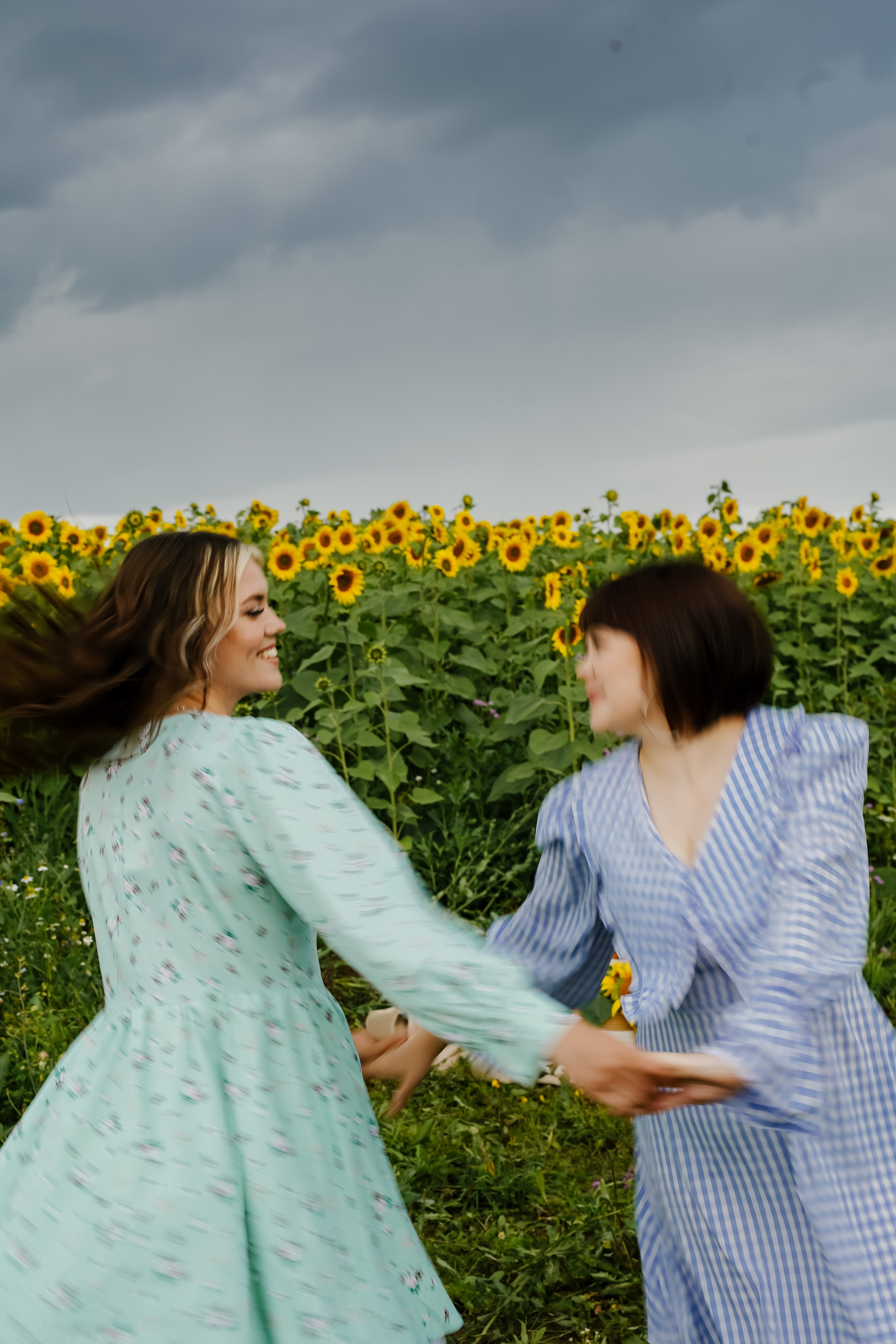 Подсолнухи. Бирск