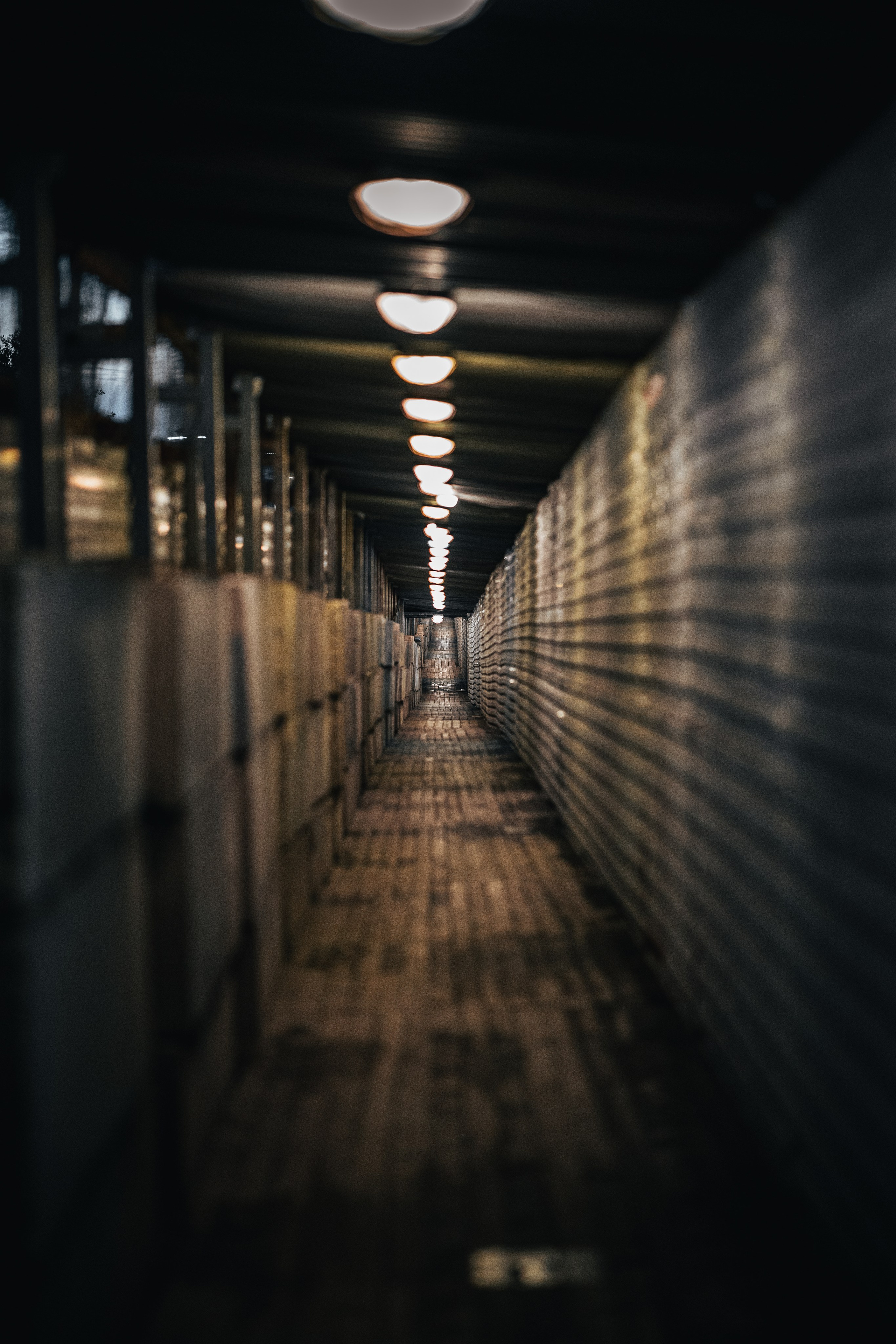 Street. Фотограф в Санкт-Петербурге Шевцов Андрей