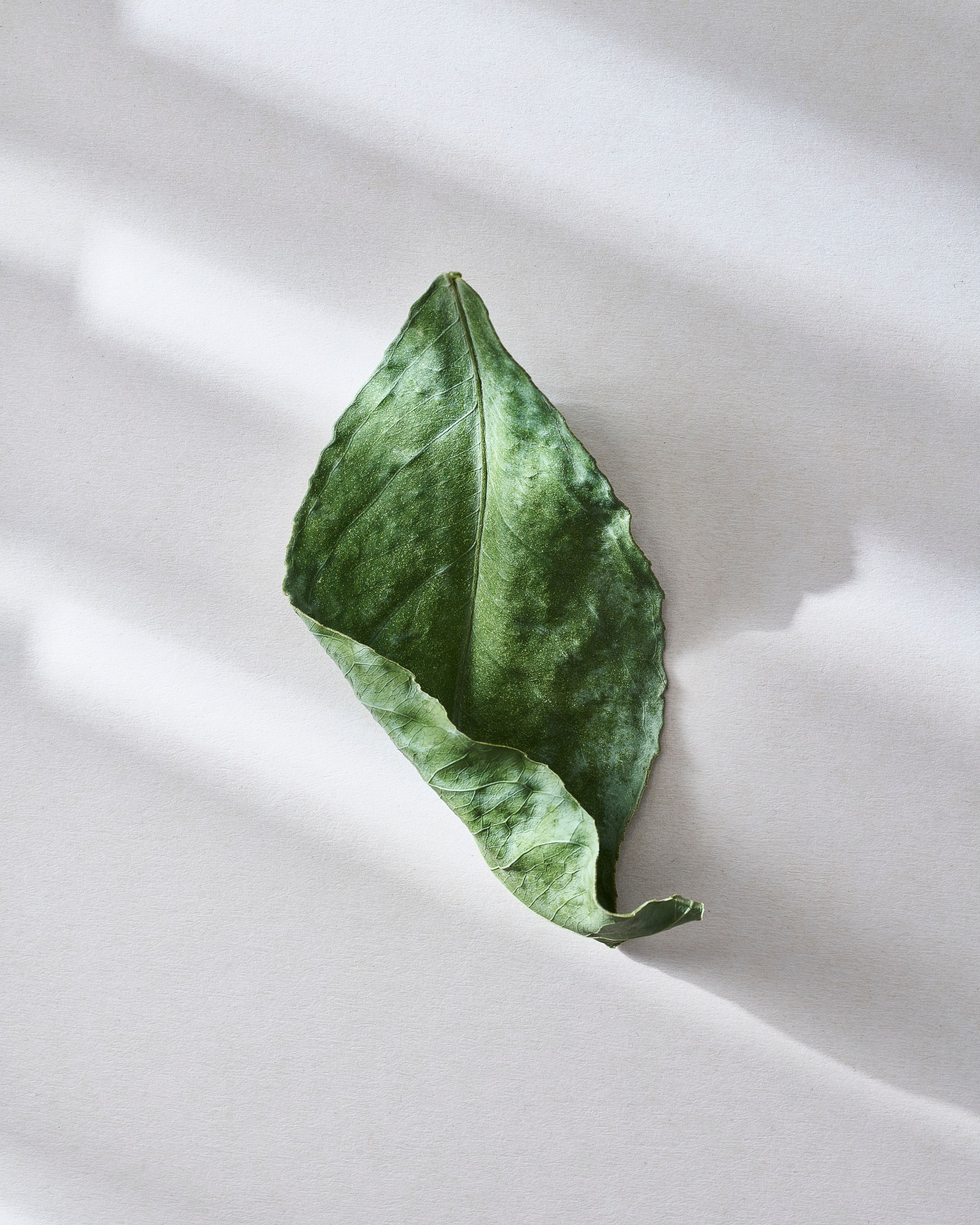 Personal. Vladimir Kochetkov — Photographer, Art Director, AI Creator