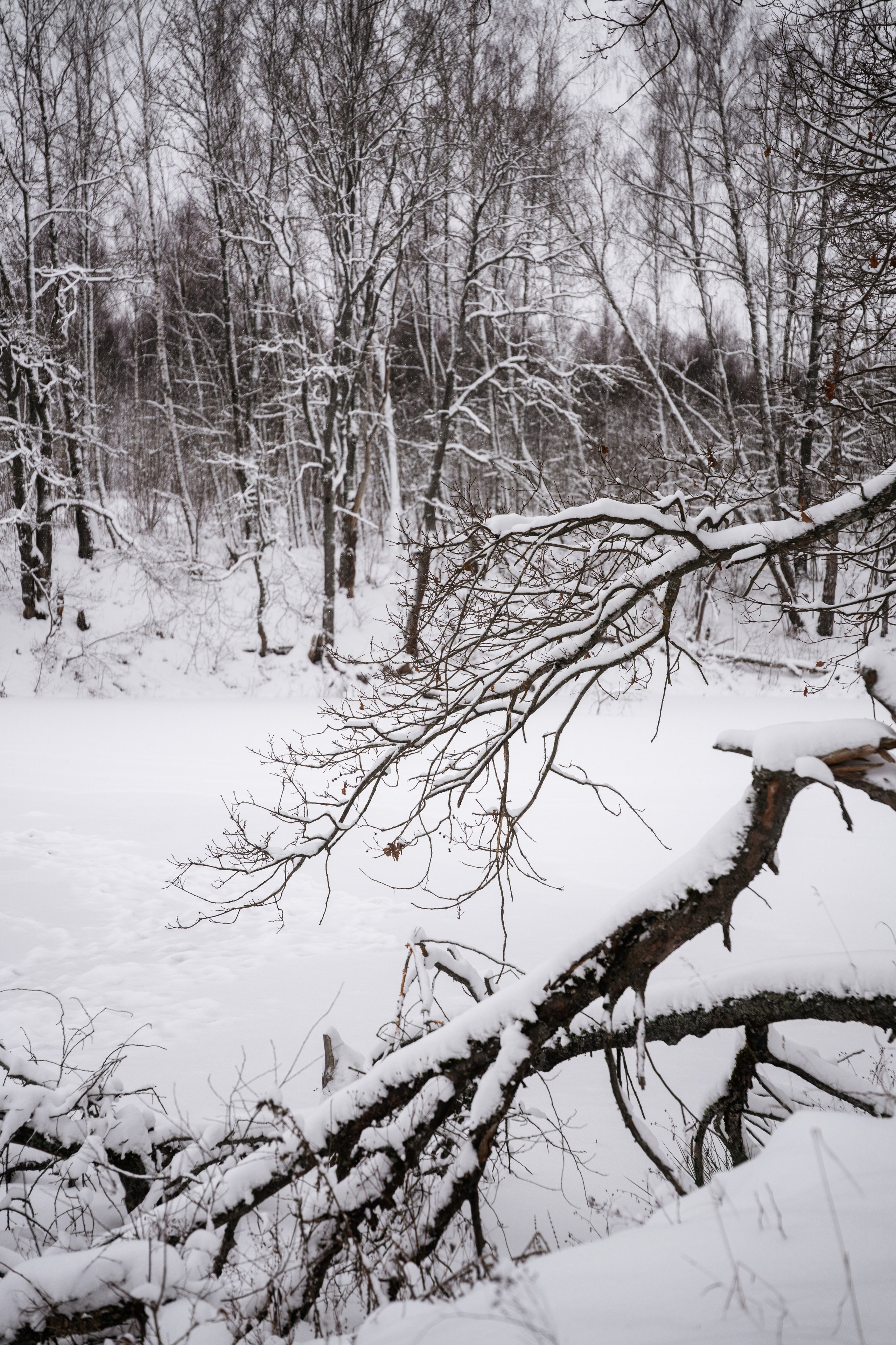 Поездка к р. Песочня и деревне Раевское. Vlad Trykov
