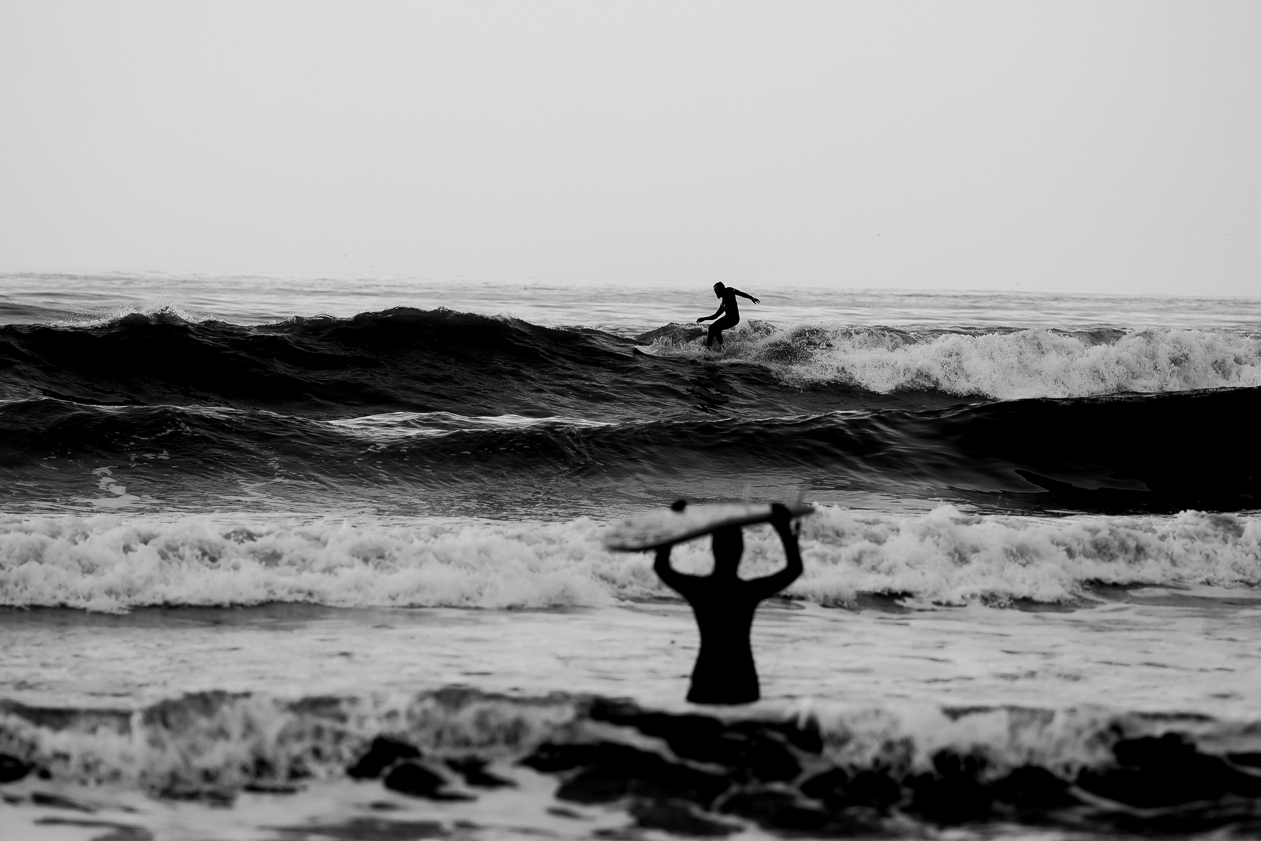 Выставка Курилы. Николай Филиппов Event & Concert Photographer Москвf