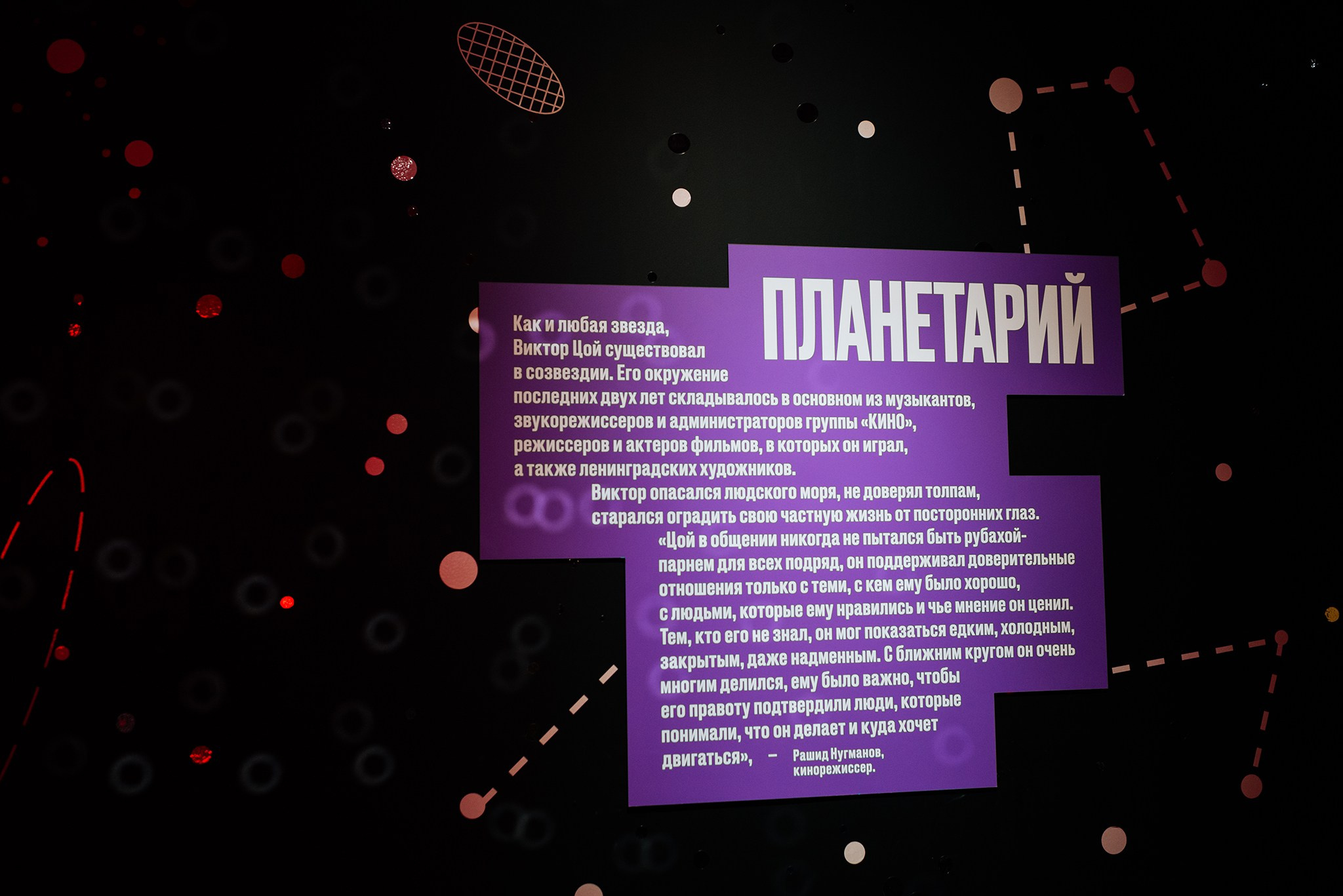 Выставка Виктор Цой. Легенда. Ноябрь 24. Репортажный фотограф в Санкт-Петербурге Анастасия Клёпова