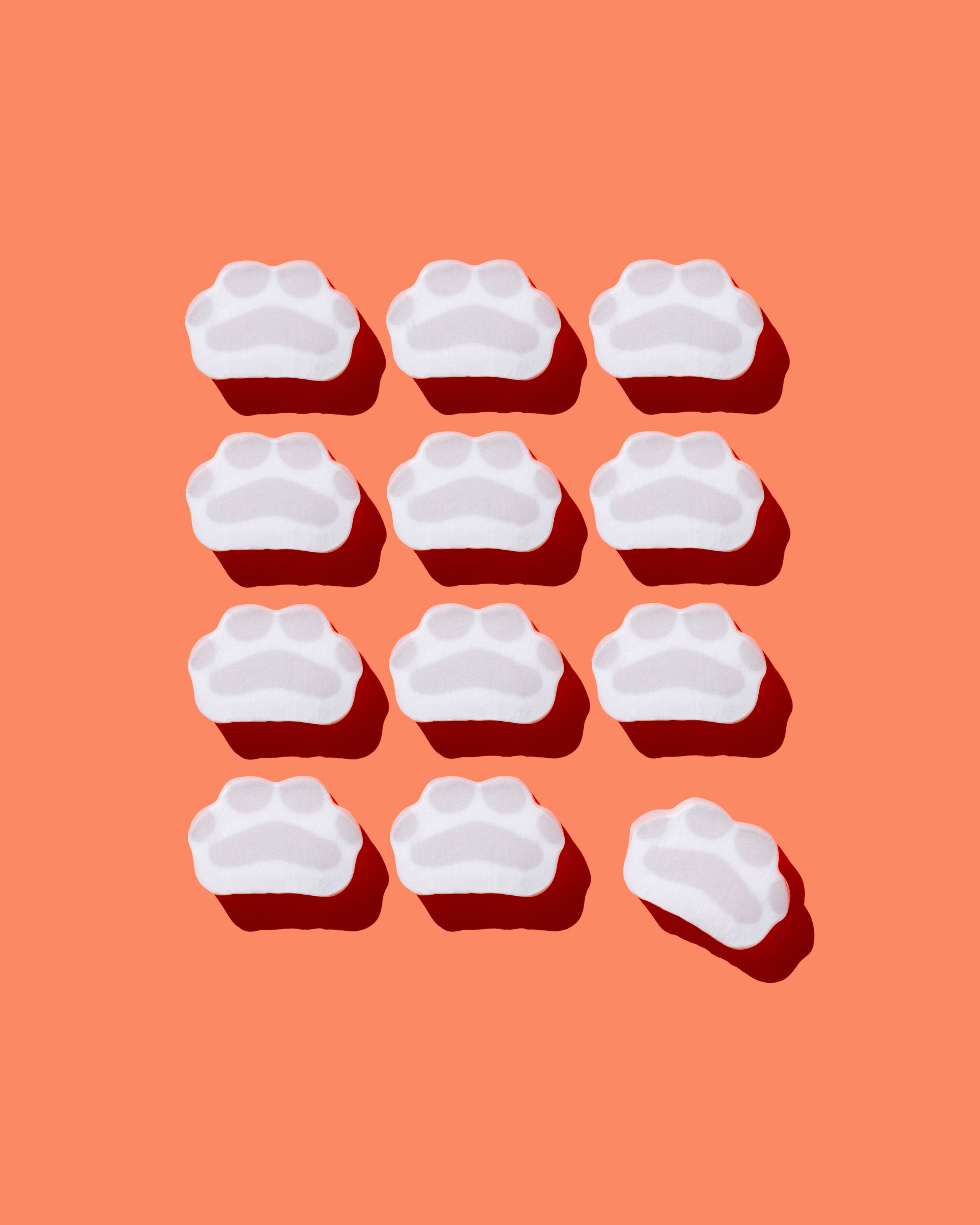 Клиенты. Фотограф и motion аниматор Екатерина Синевич