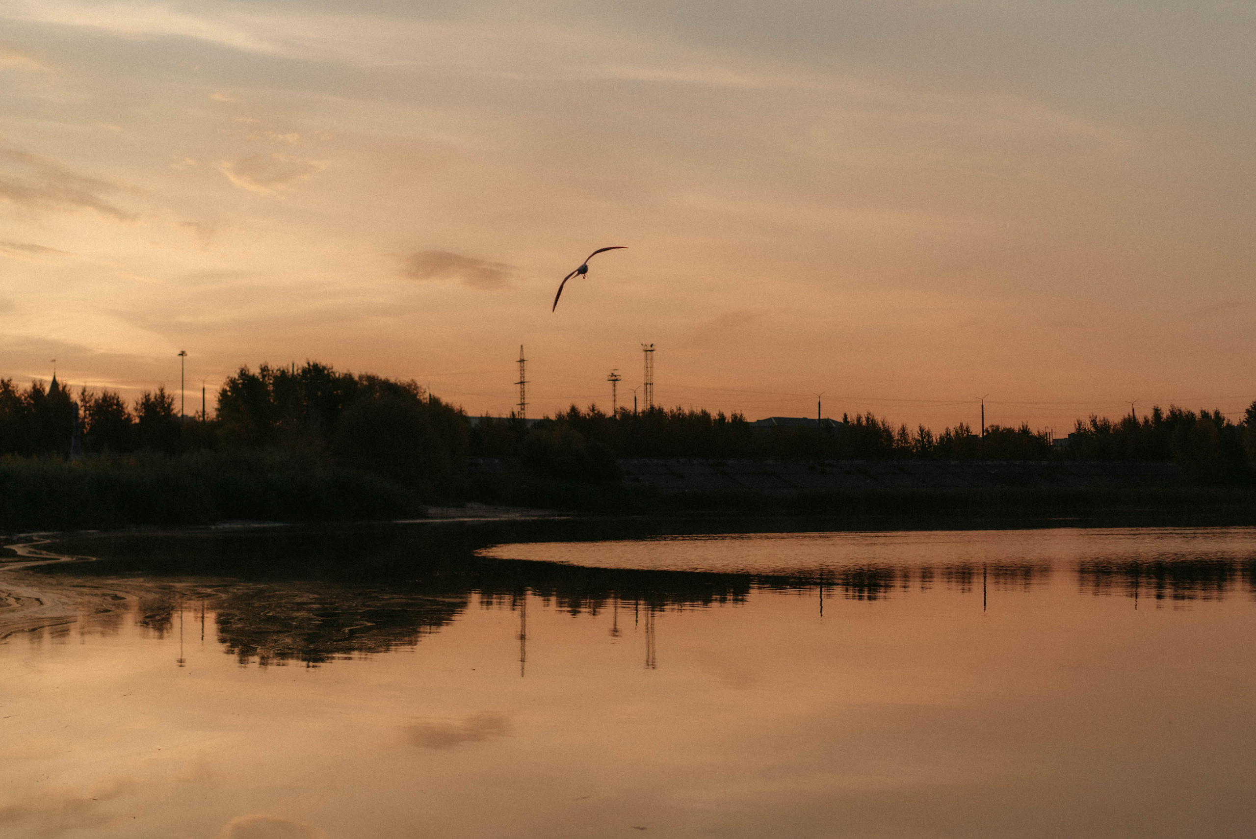 Рассвет перед бурей. Olgamashh