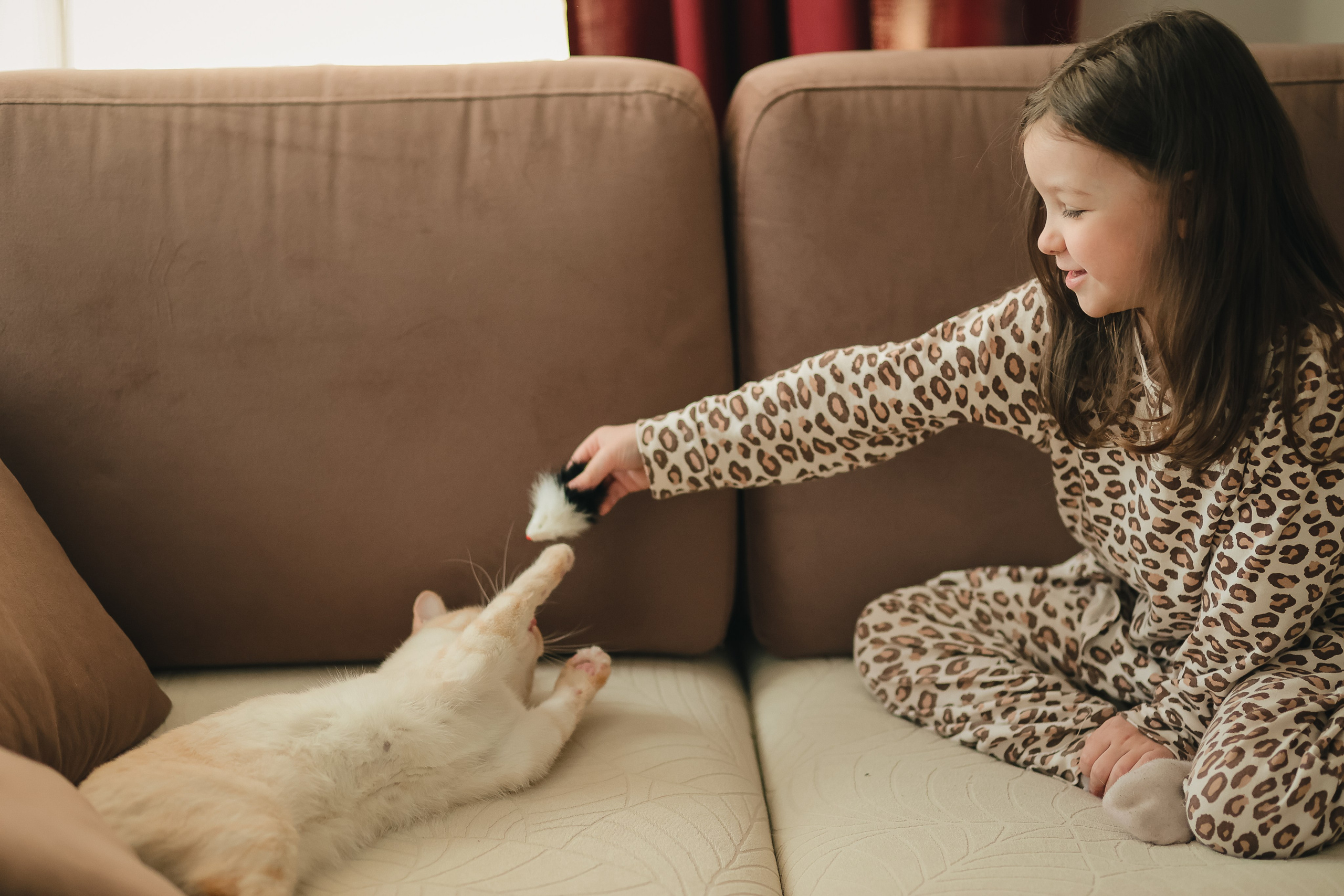 Девочка играет с котом на диване
