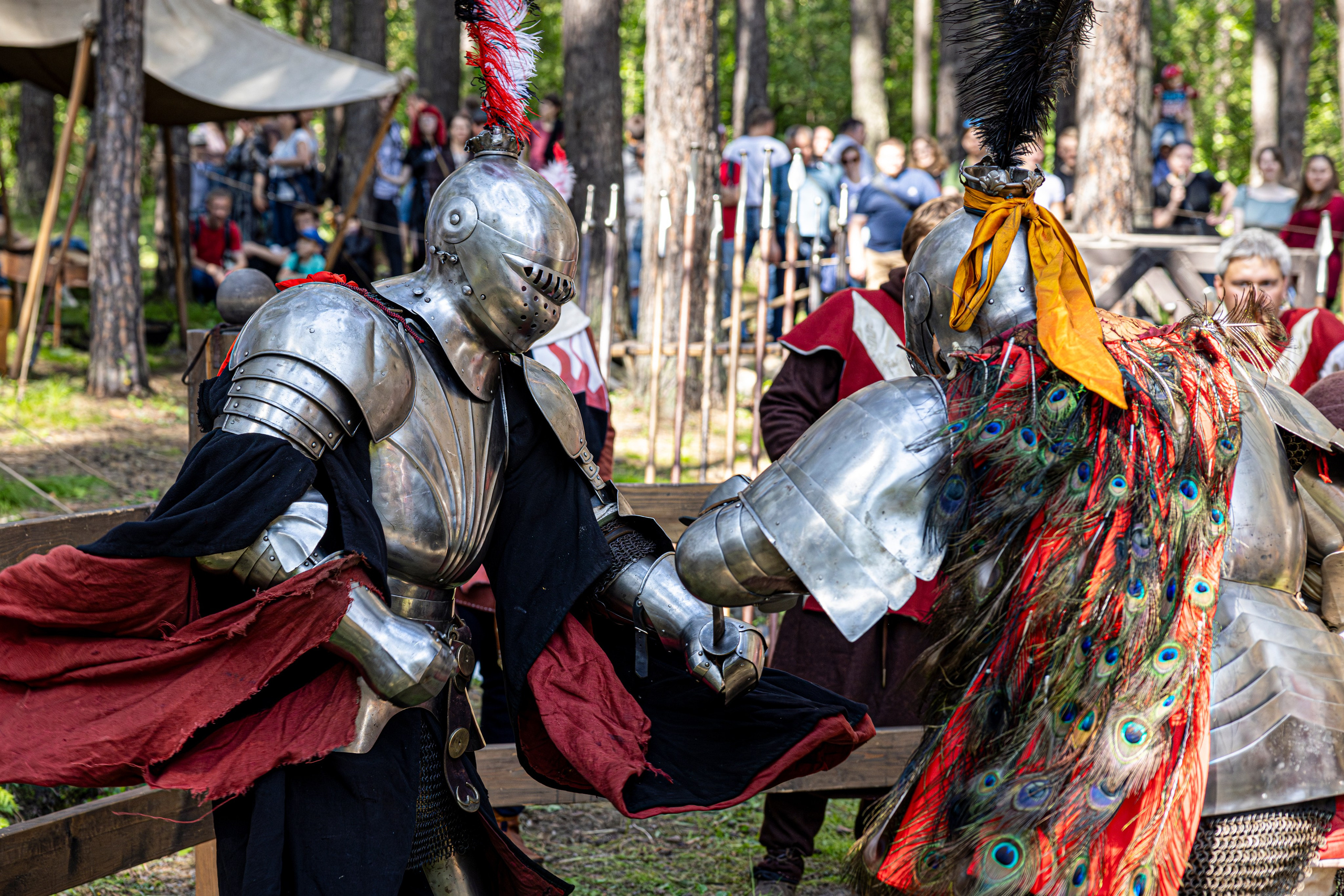 Княжий двор 2024. Bertran Ordo