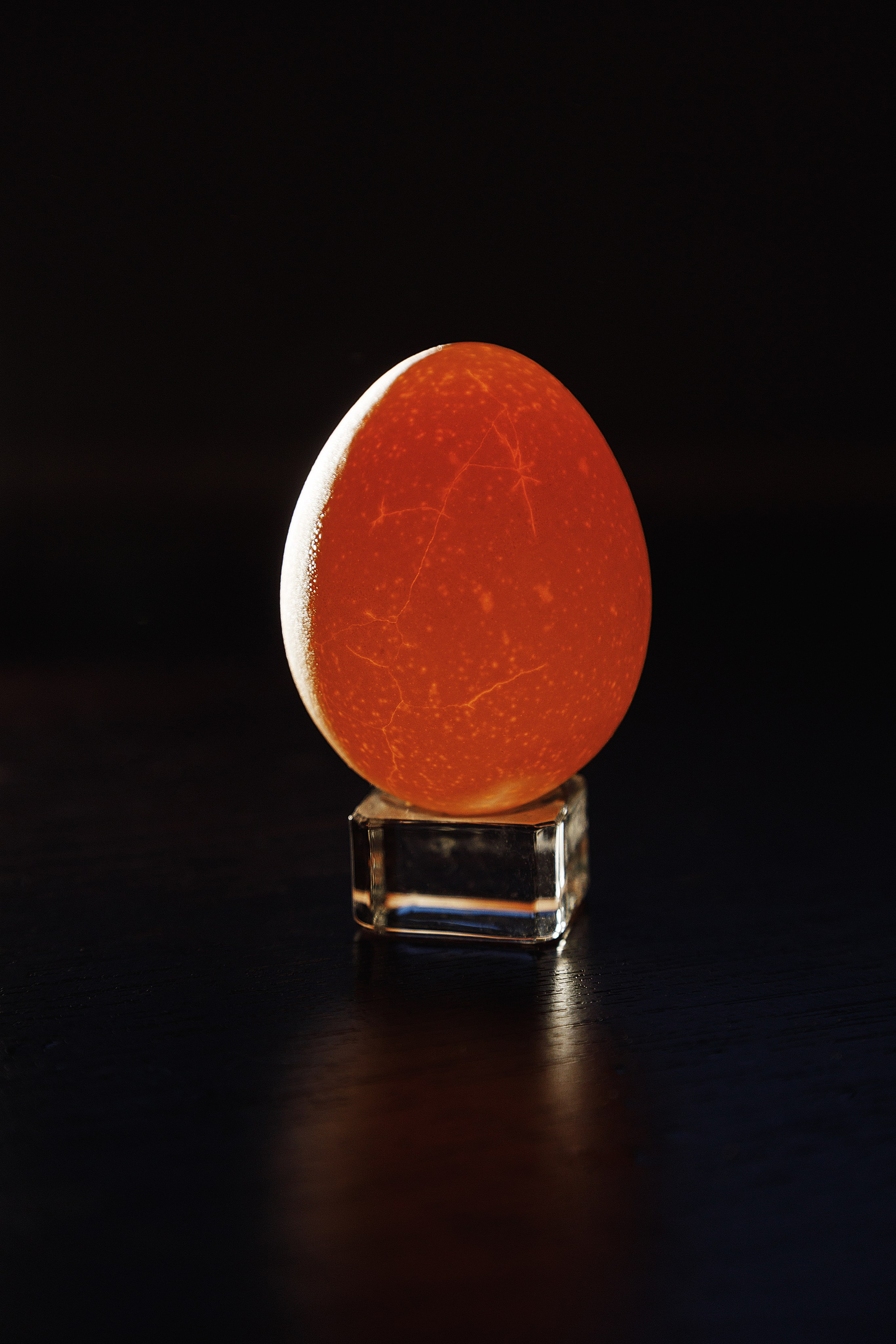 Проект «366»|2024|Фото каждый день. LENA GRACE photographer ||ЛЕНА ГРЭЙС фотограф