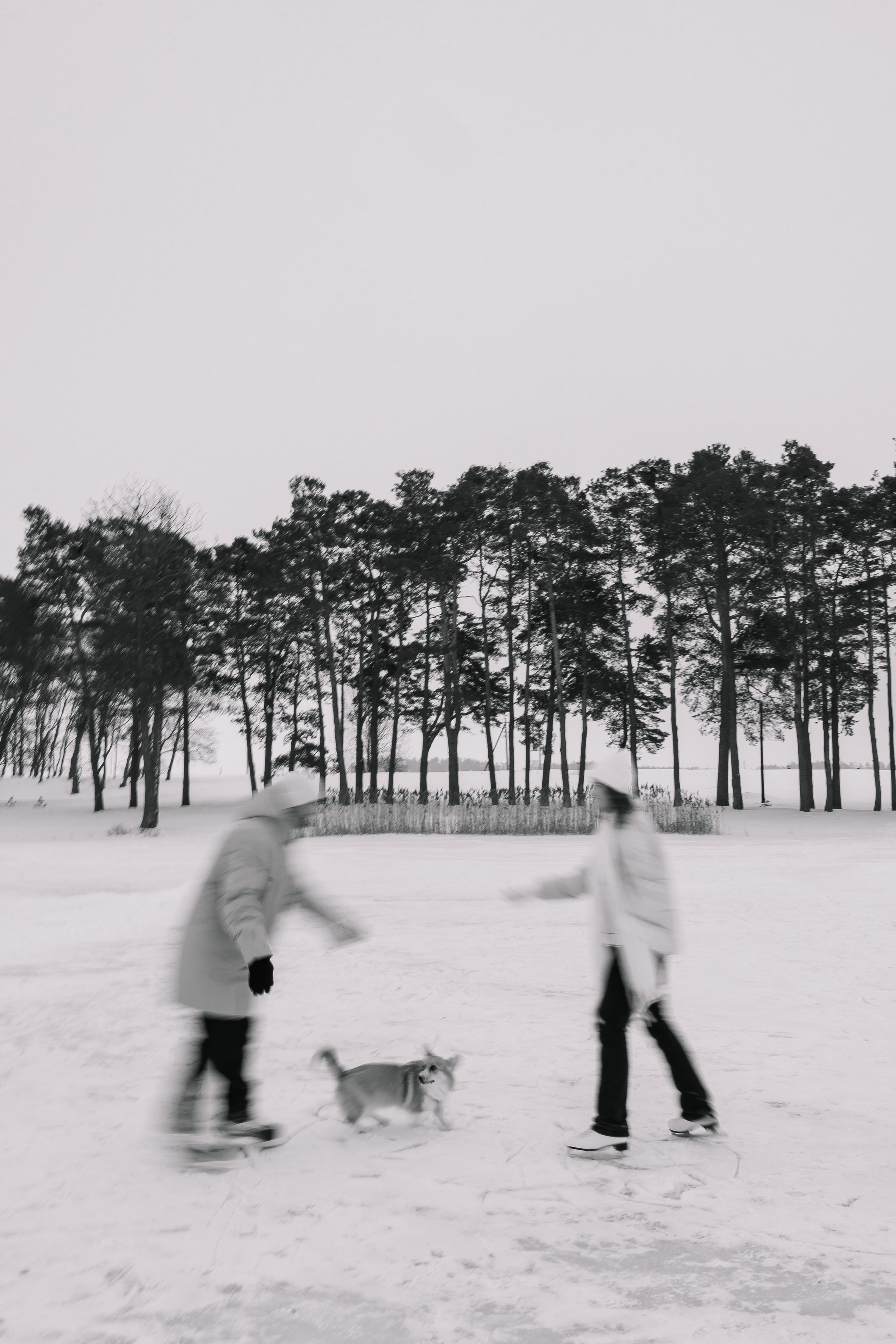 Зимние выходные. Свадебный Фотограф Минск || Фото и Видеосъёмка Минск || Другие города