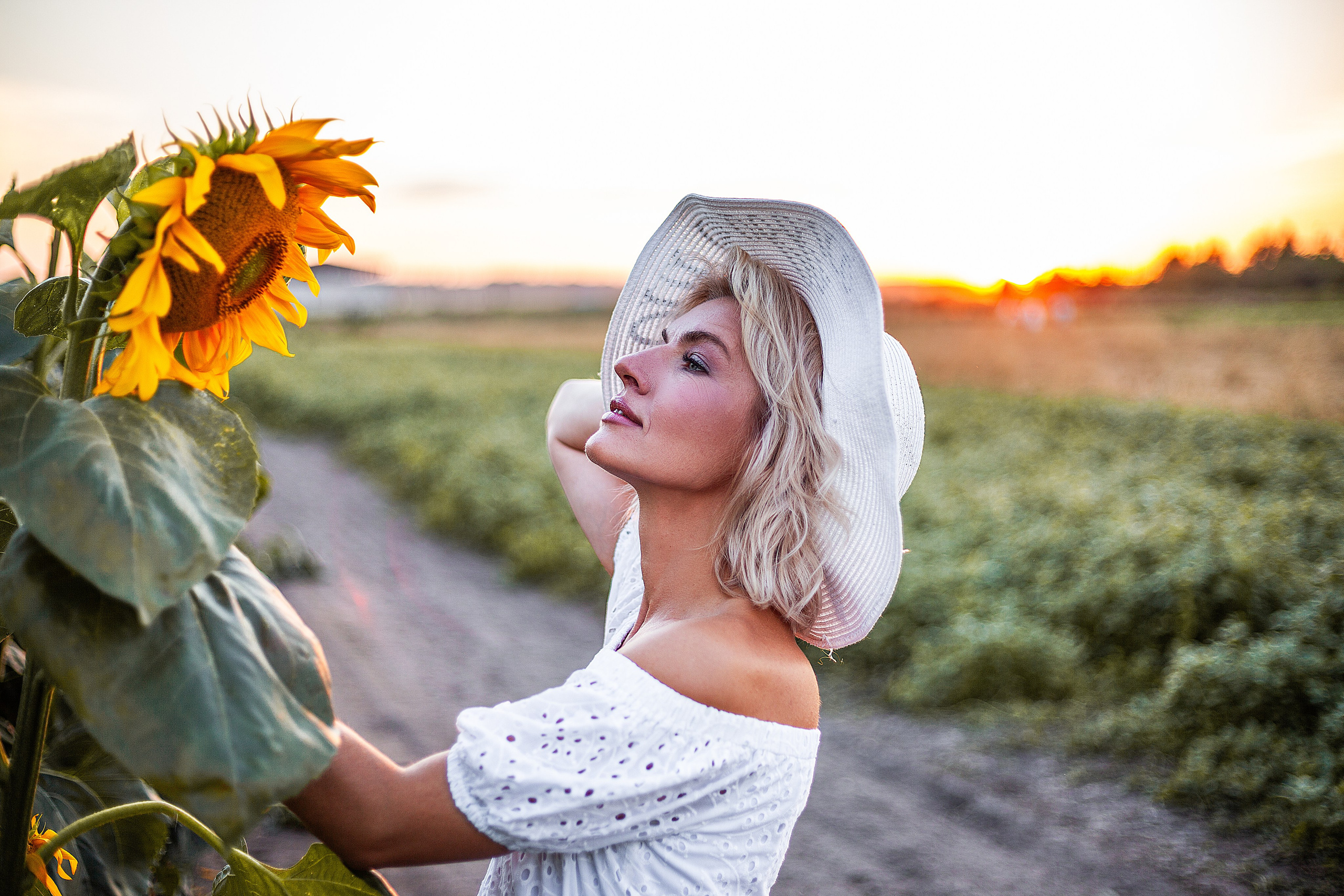 Подсолнухи!