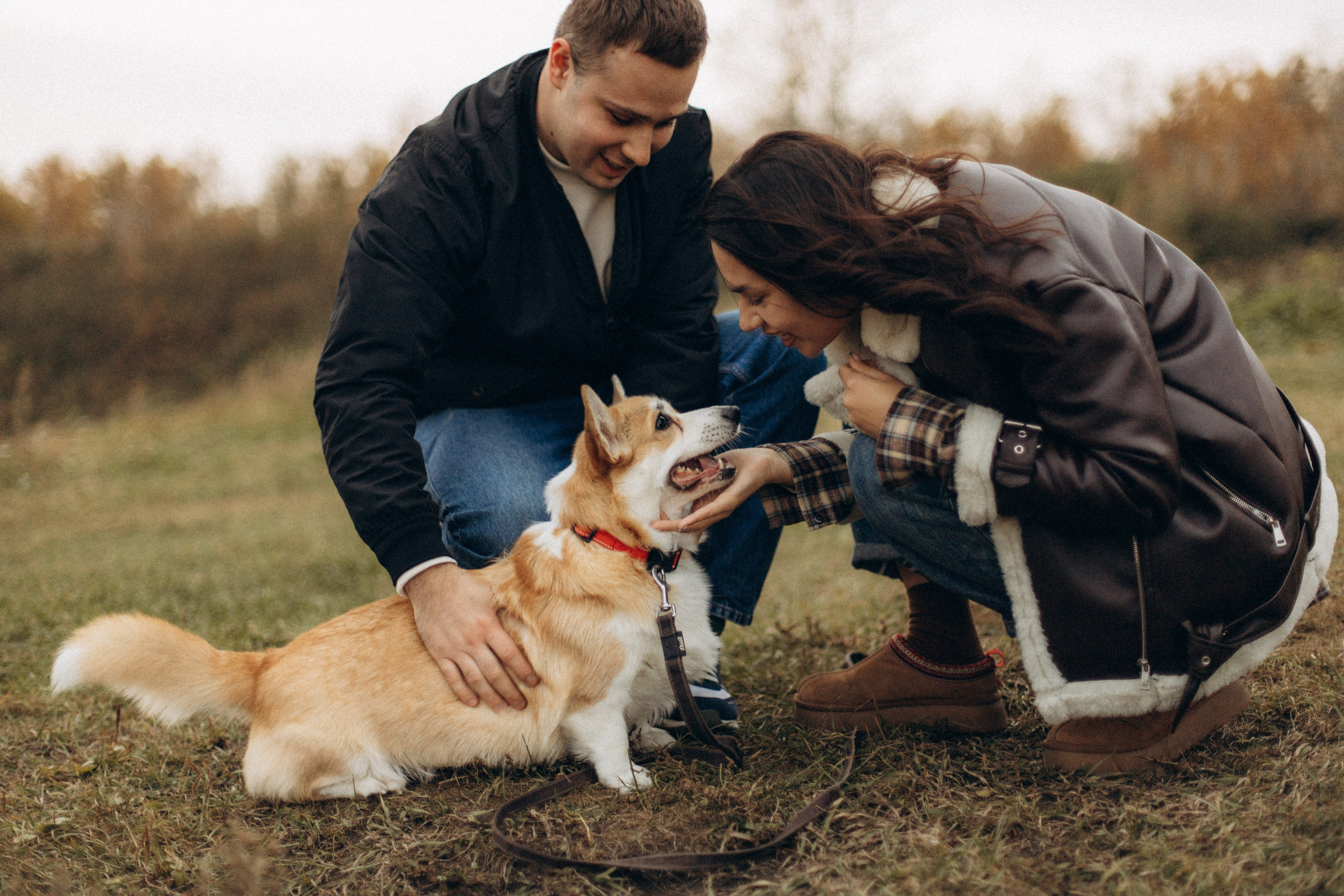 Настя, Никита и Мерси. Семейный и детский фотограф Красноярск Иркутск Денк Анна