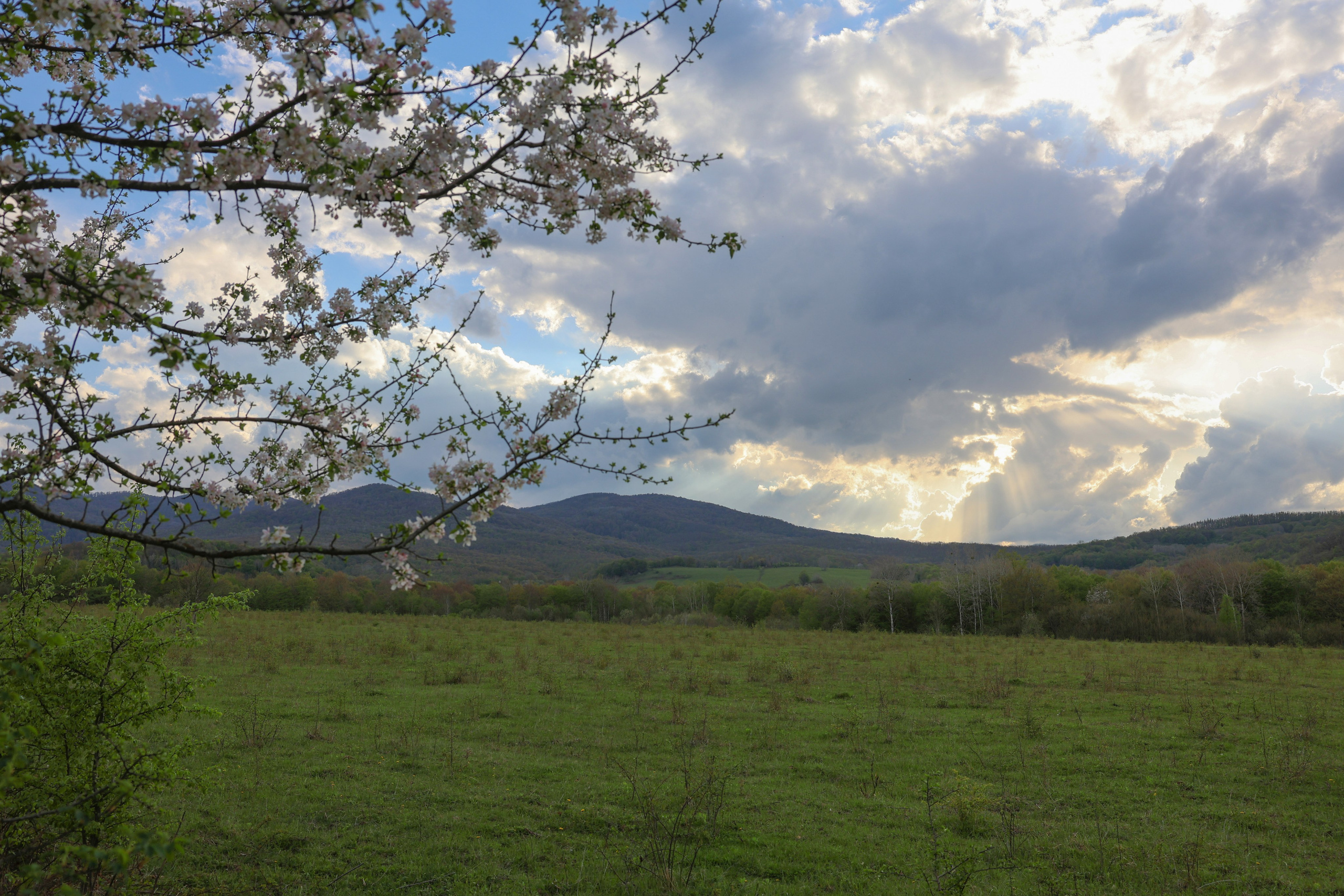 Фотограф Мария Алексеева. Мария Алексеева. Фотограф в Москве