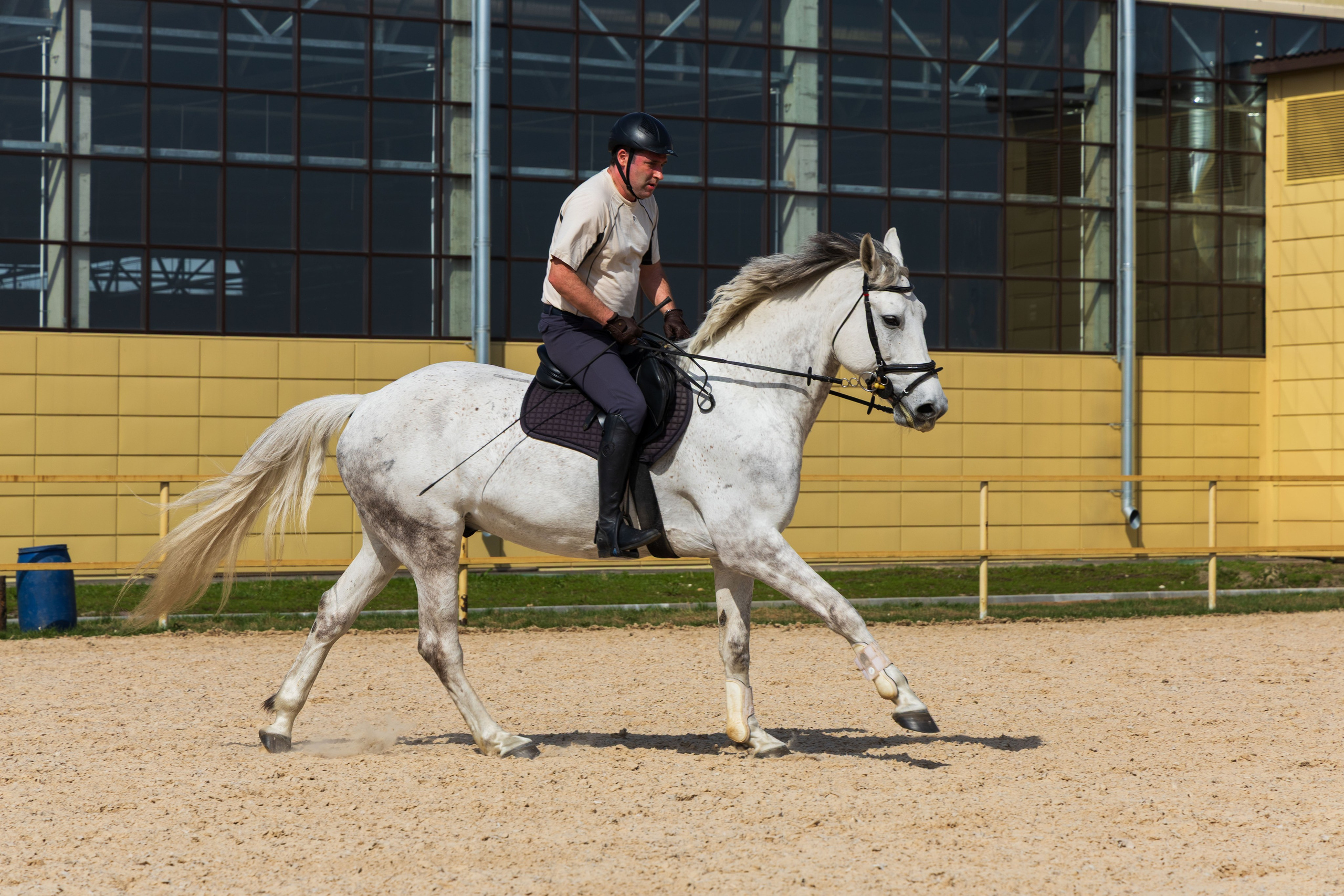 Репортаж.Конная тренировка. Портретный и семейный фотограф Санкт-Петербург