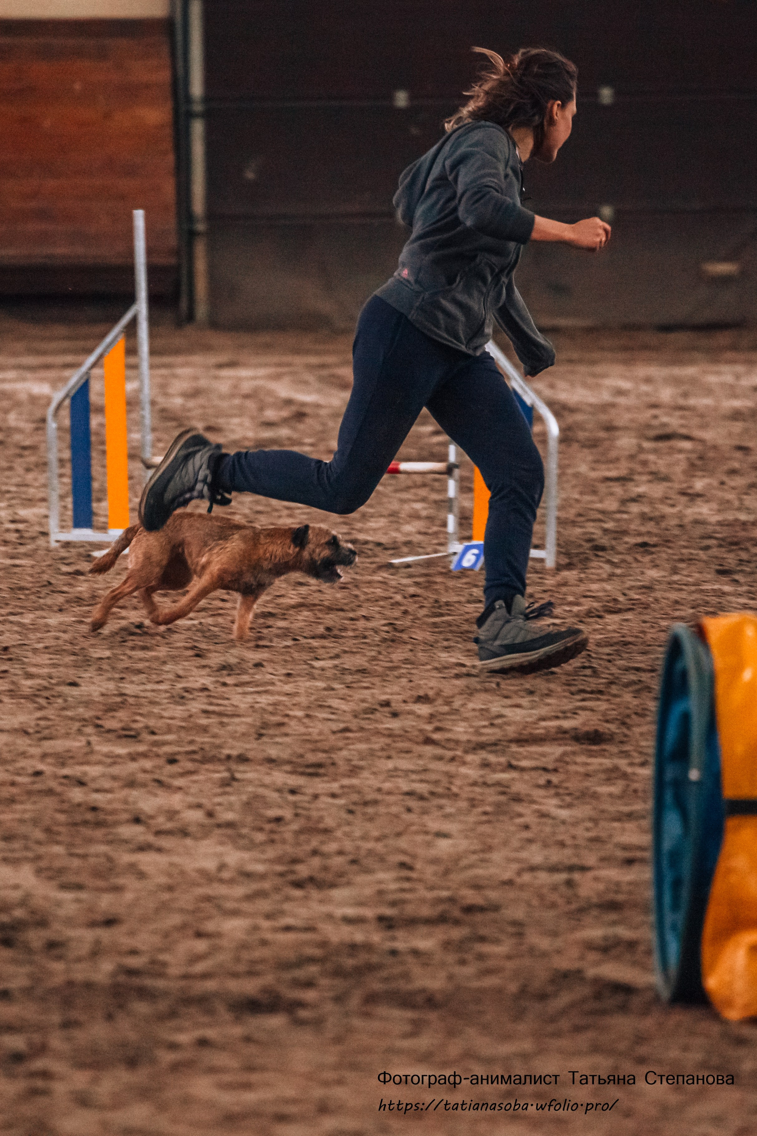 Соревнования по Аджилити 25.02.2024. Фотограф-анималист Татьяна Степанова