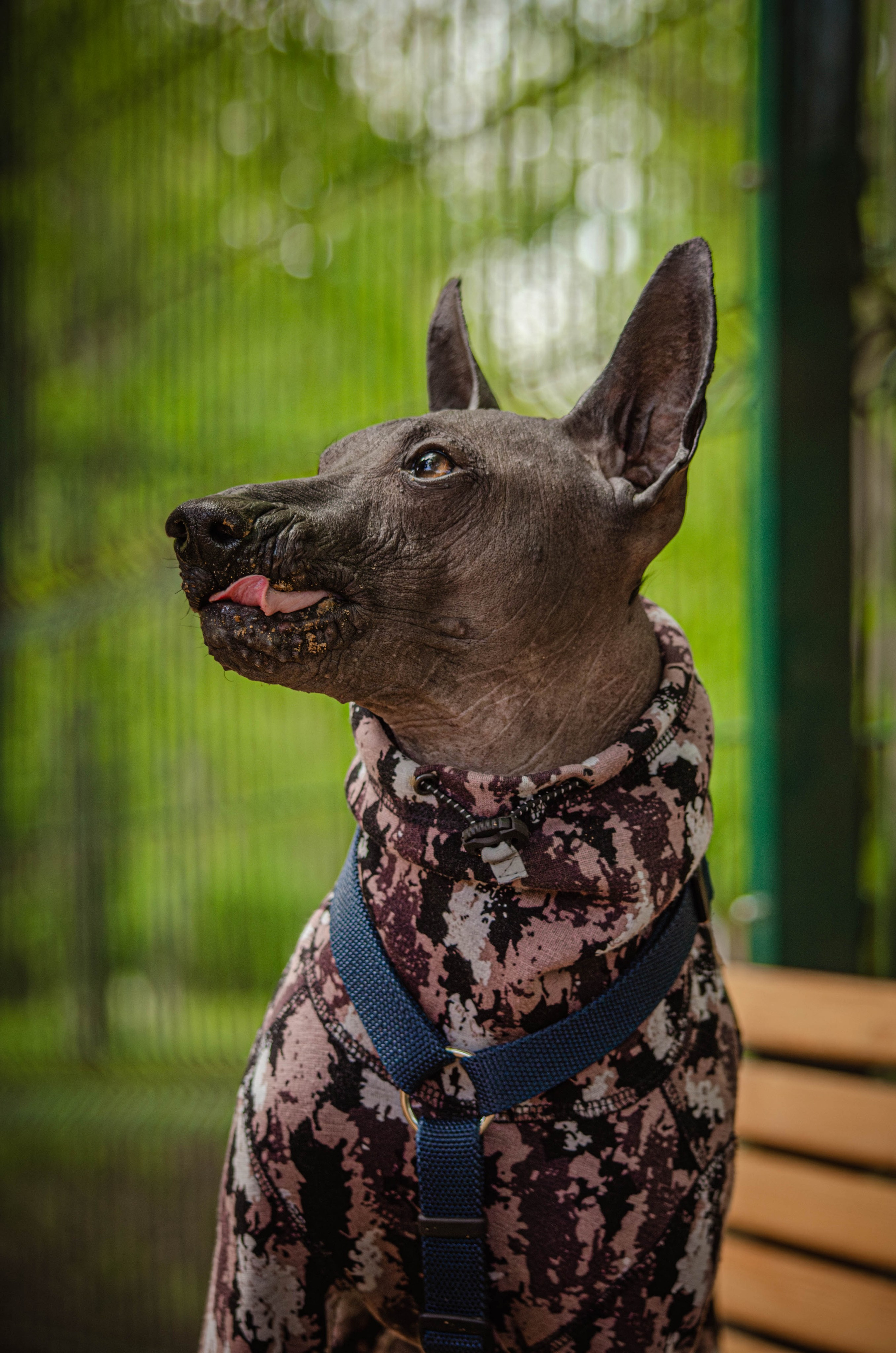 Сёма. Фотограф Светлана Блинова, Москва и Московская область