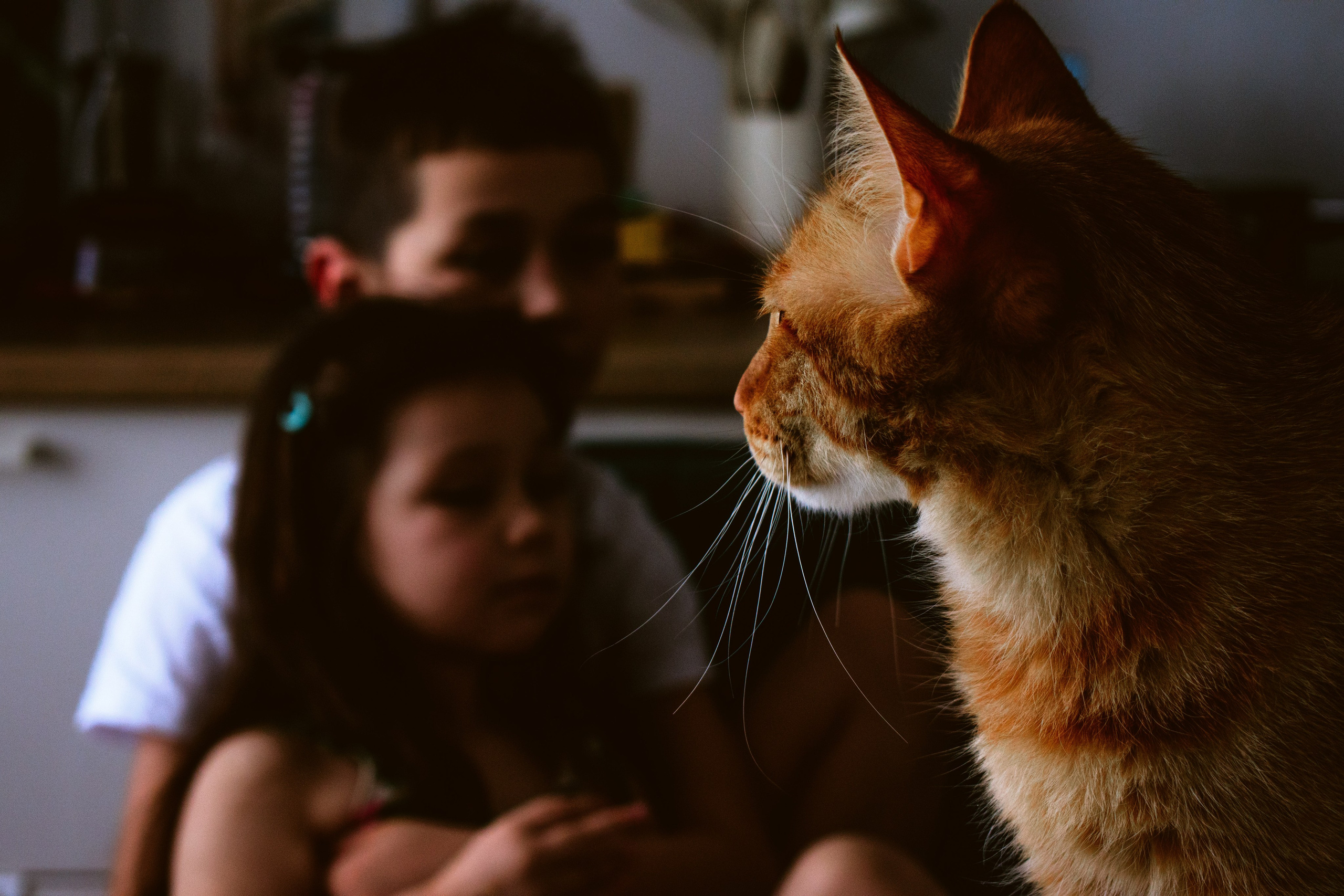 Домашние съемки. Семейный фотограф Москва