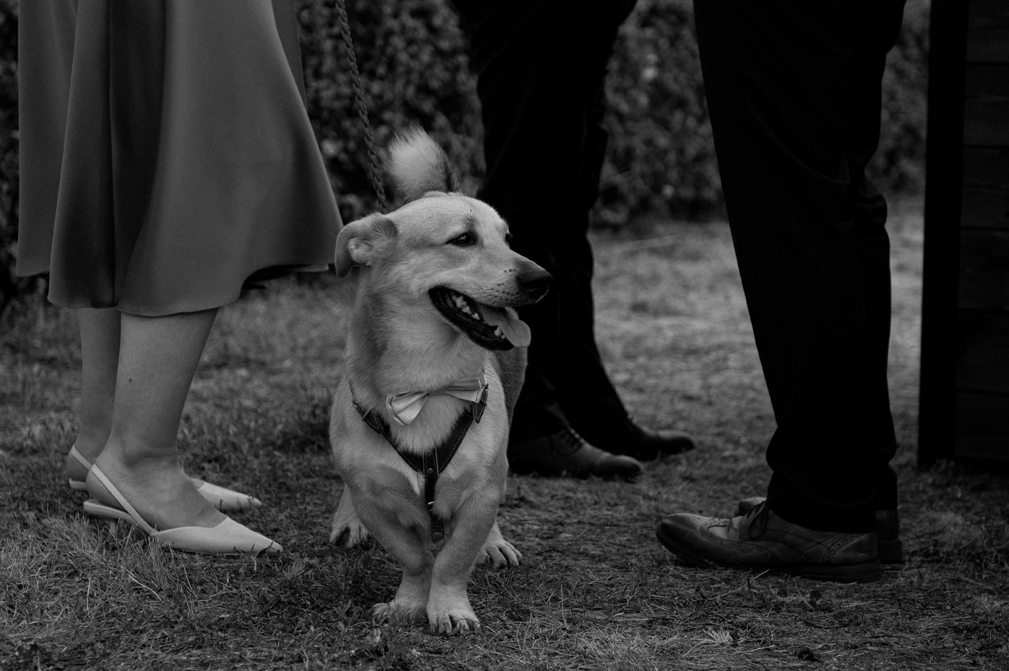 Сицилия дома. Свадебный фотограф в Санкт-Петербурге, Москве, СПб Сергей Поддубный