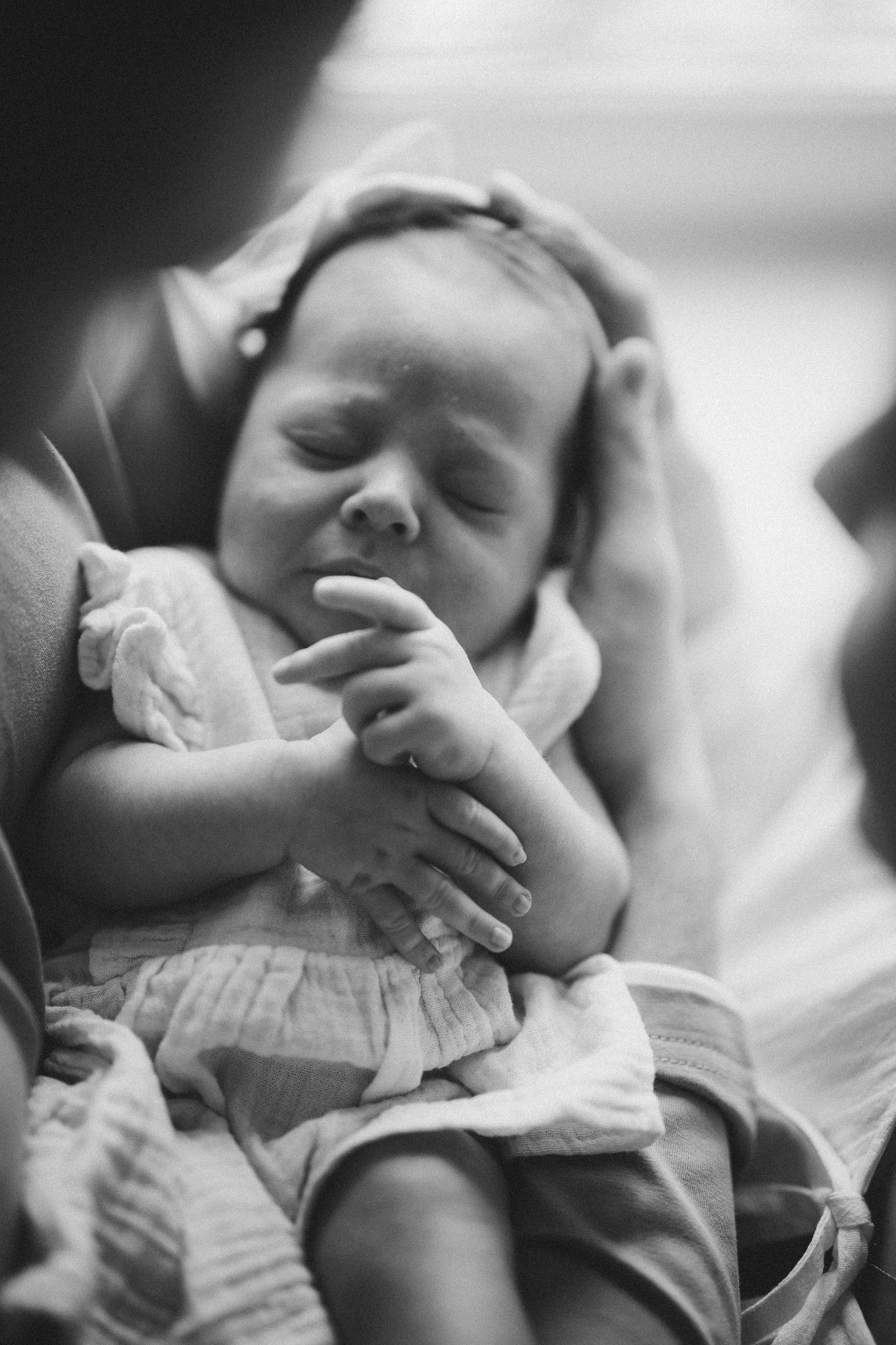 Василиса. Евгения Пелипас