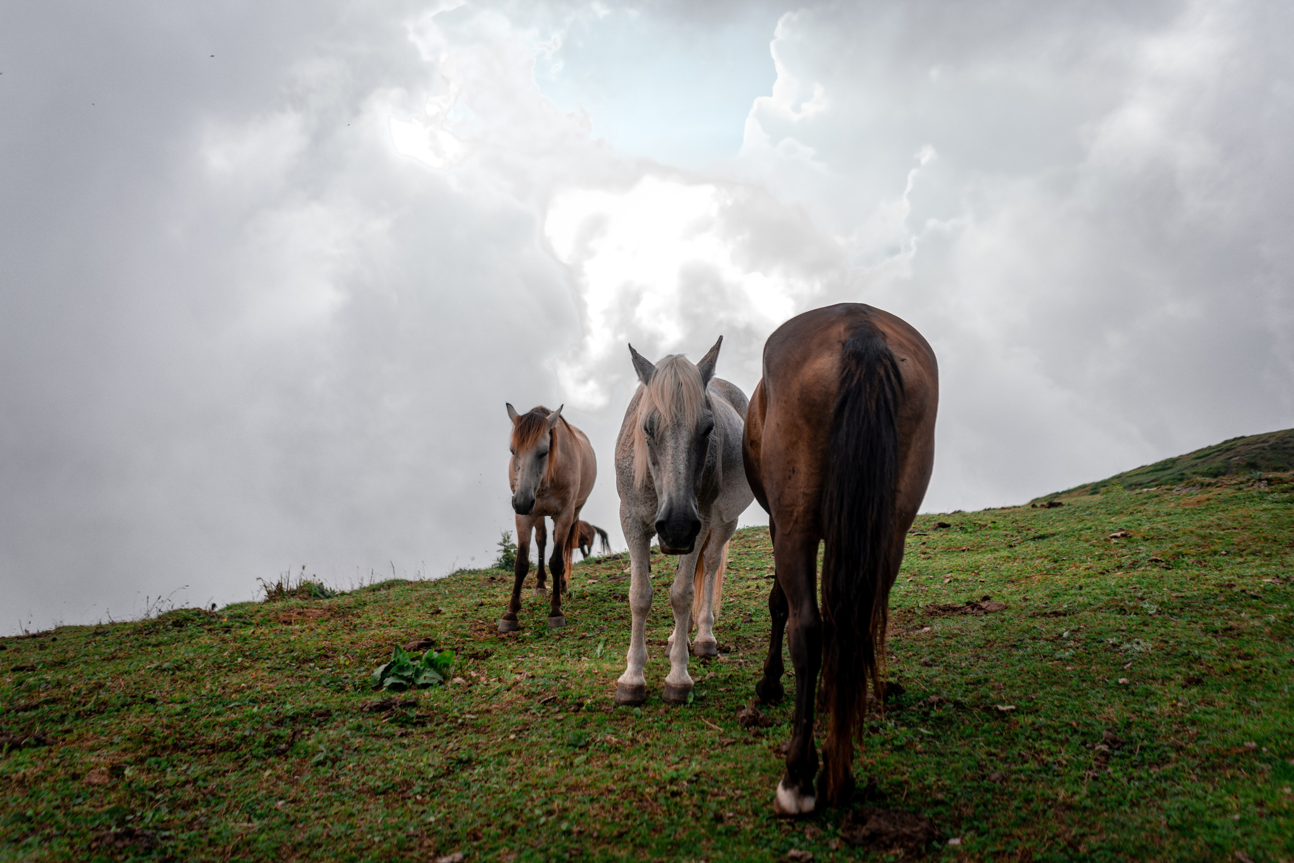 Сочи. Фотограф Александра Волкова | Волгоград