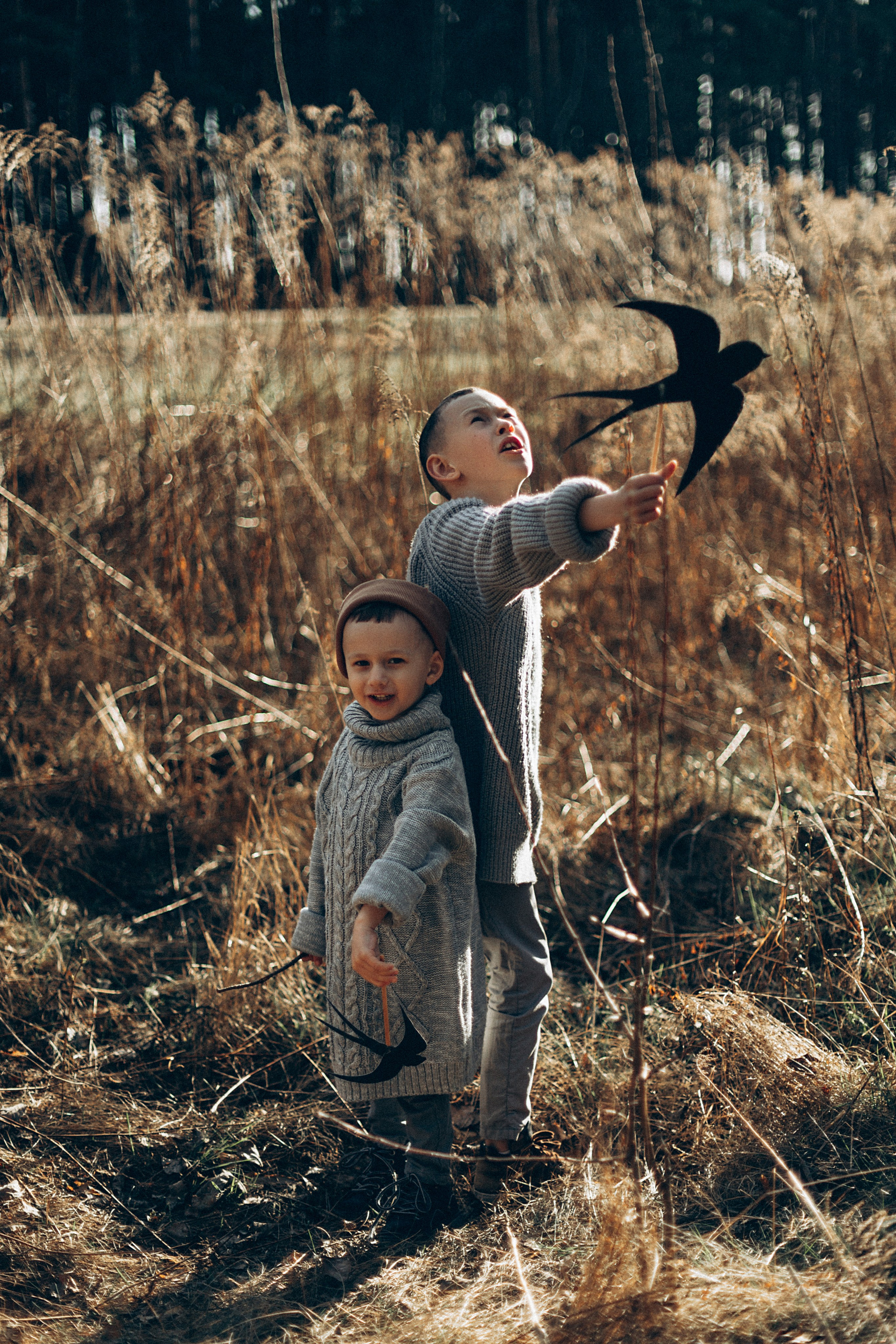 Птицы-самолеты. Репортажный и детский фотограф в Минске