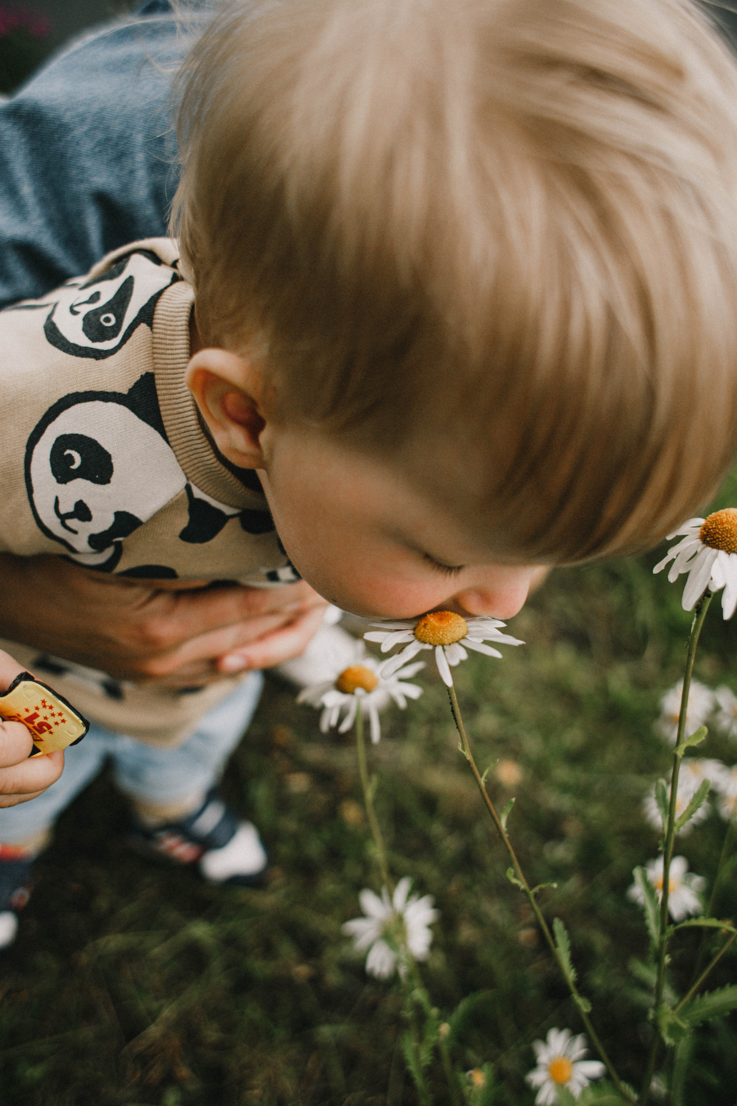 Сева у бабушки. Фотограф в Нижнем Новгороде