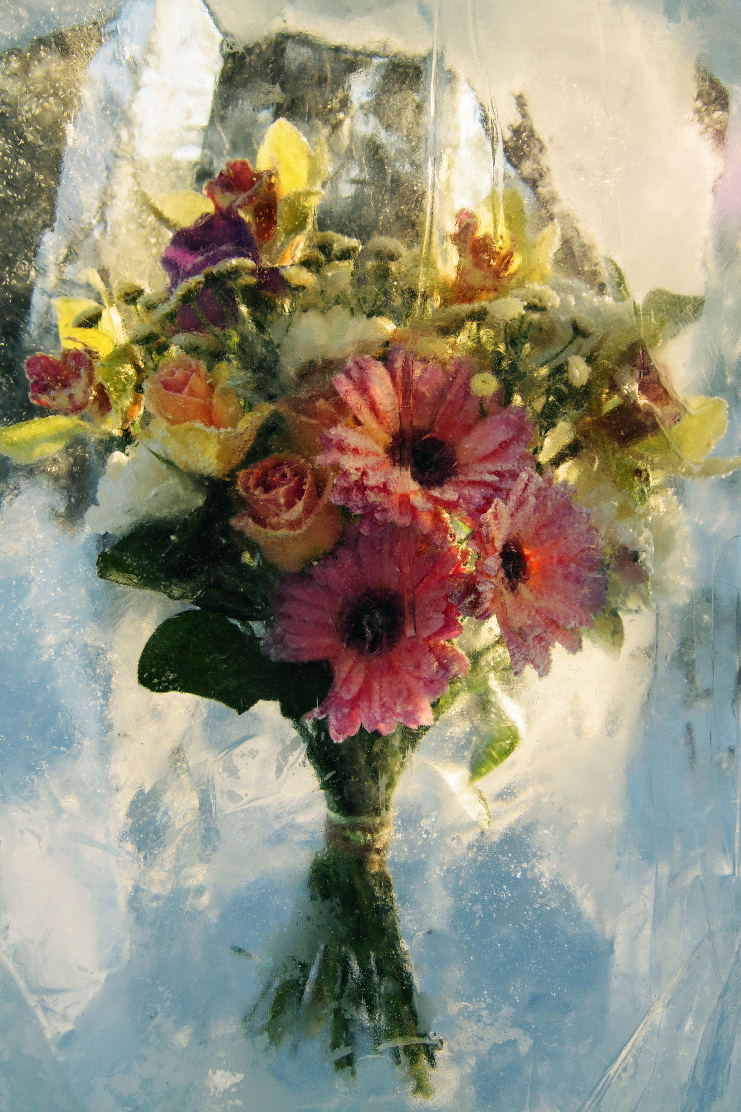 Природа. Фотограф в городе Омске Константин Зоткин