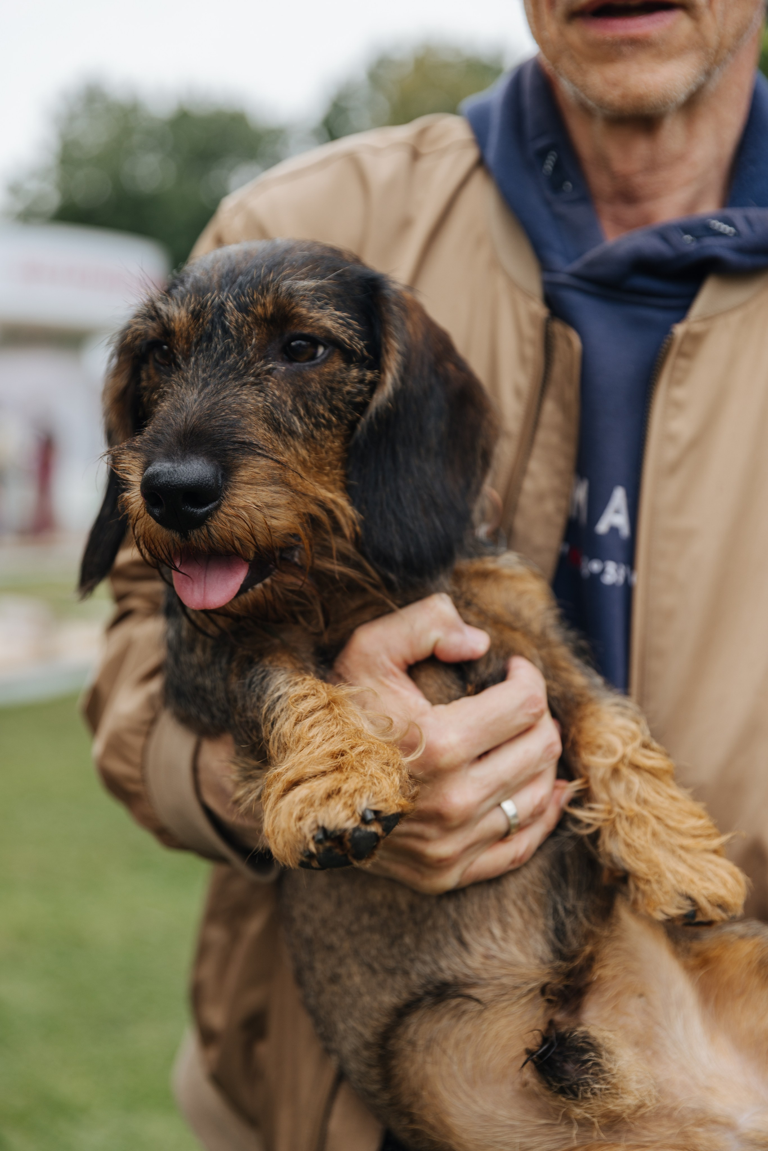 Хвостатый репортаж. Аксана Лисовская фотограф в Москве. Фотографии с характером