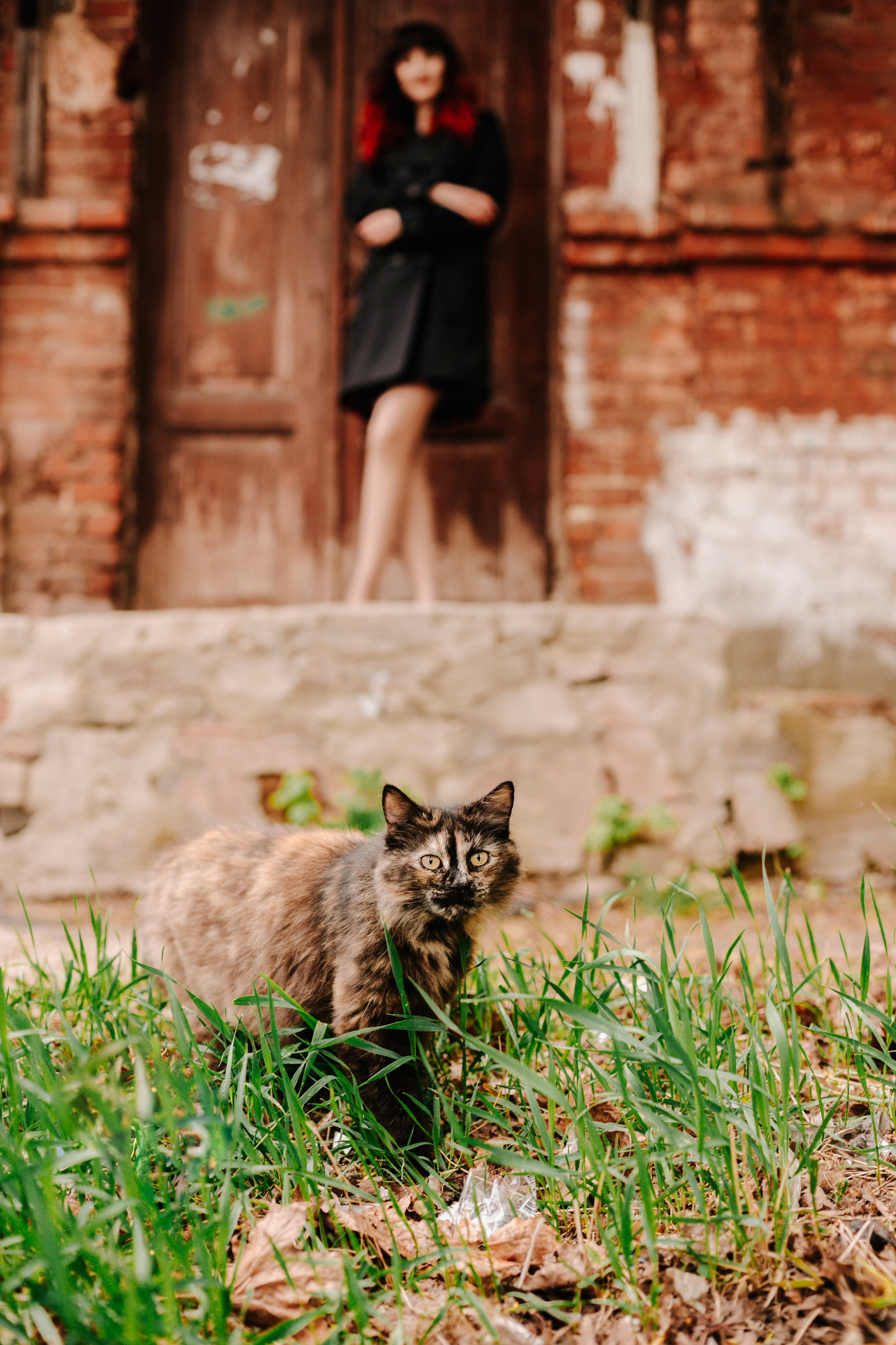 Лилия (фотосессия в городе и студии). Семейный и свадебный фотограф в Воронеже Майя Добровольская