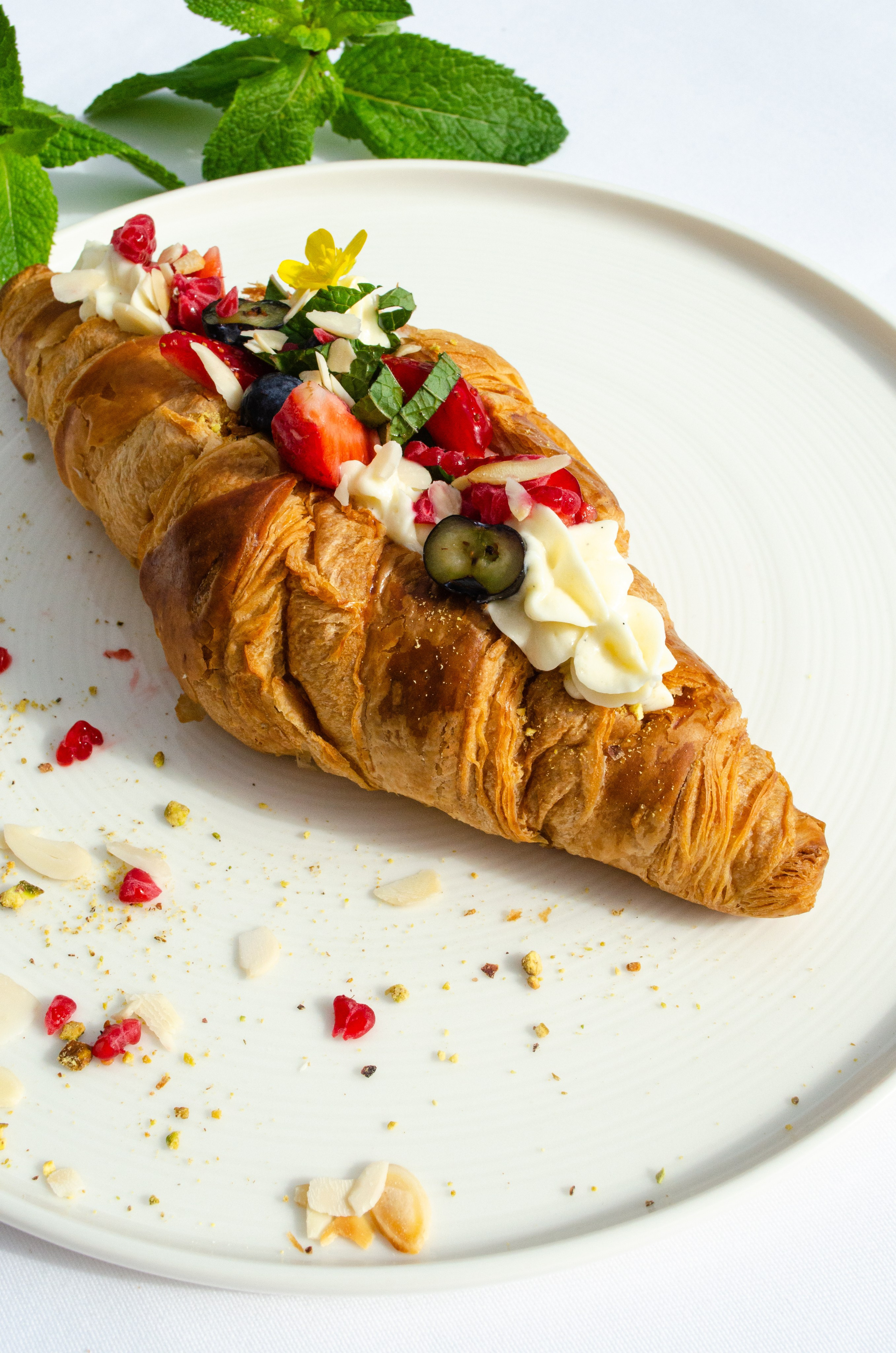 Роза Хутор Modys ресторан. Фотограф