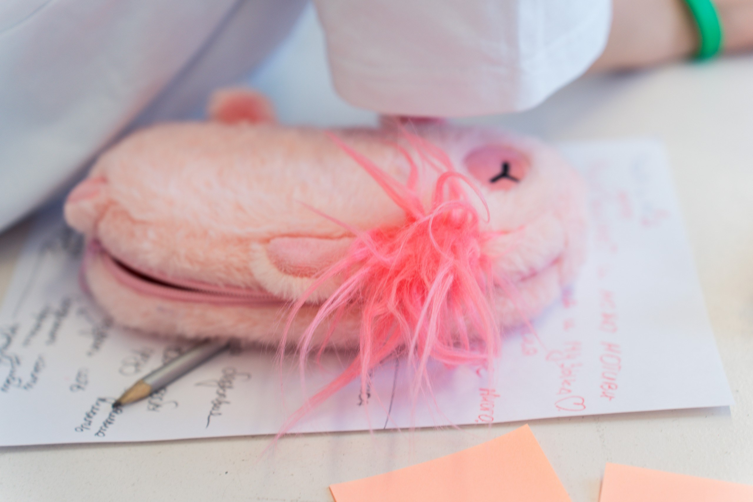 Чемпионат. Репортажная съёмка в Санкт-Петербурге, Константин Петров