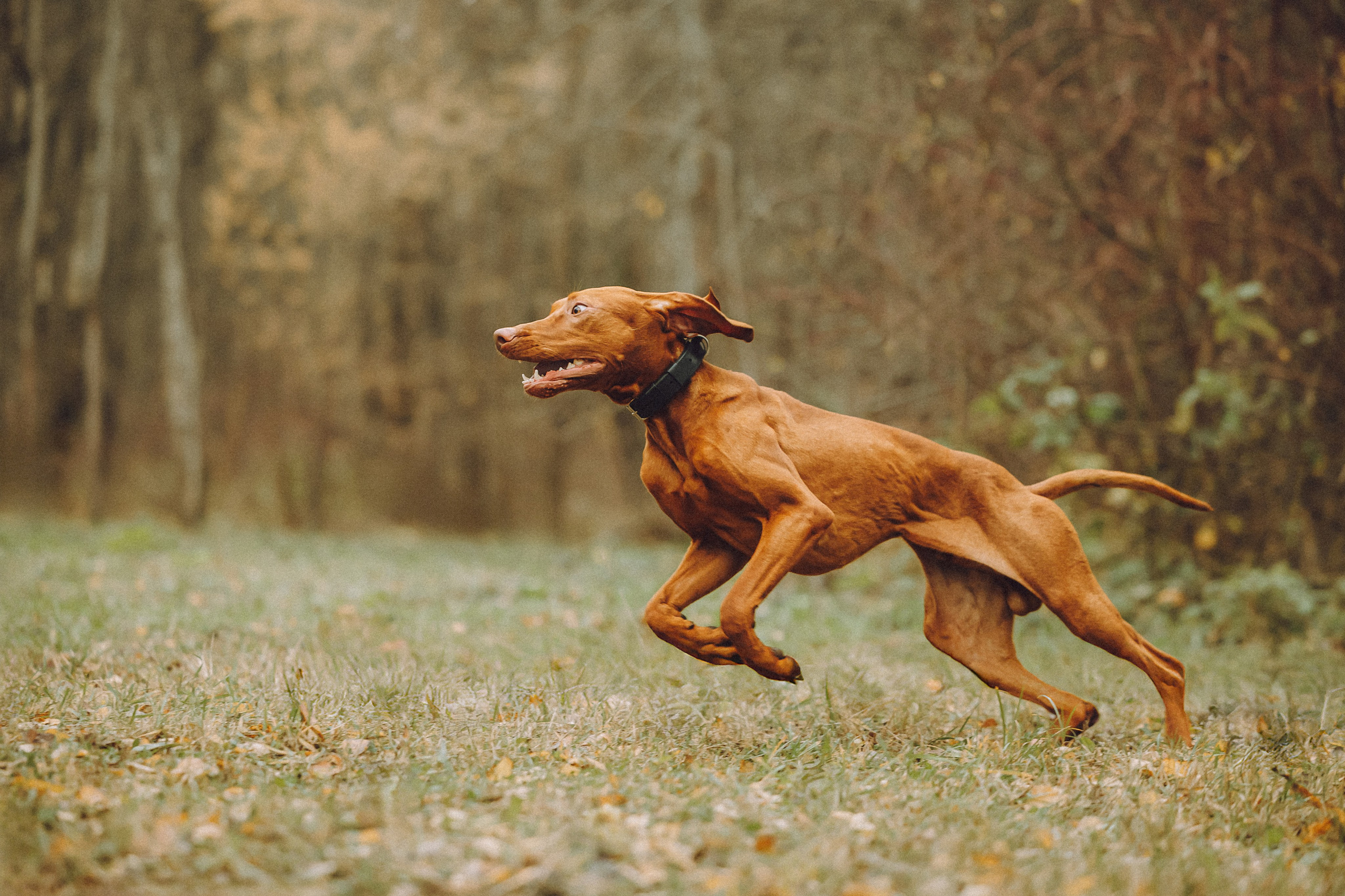 Дориан и его семья