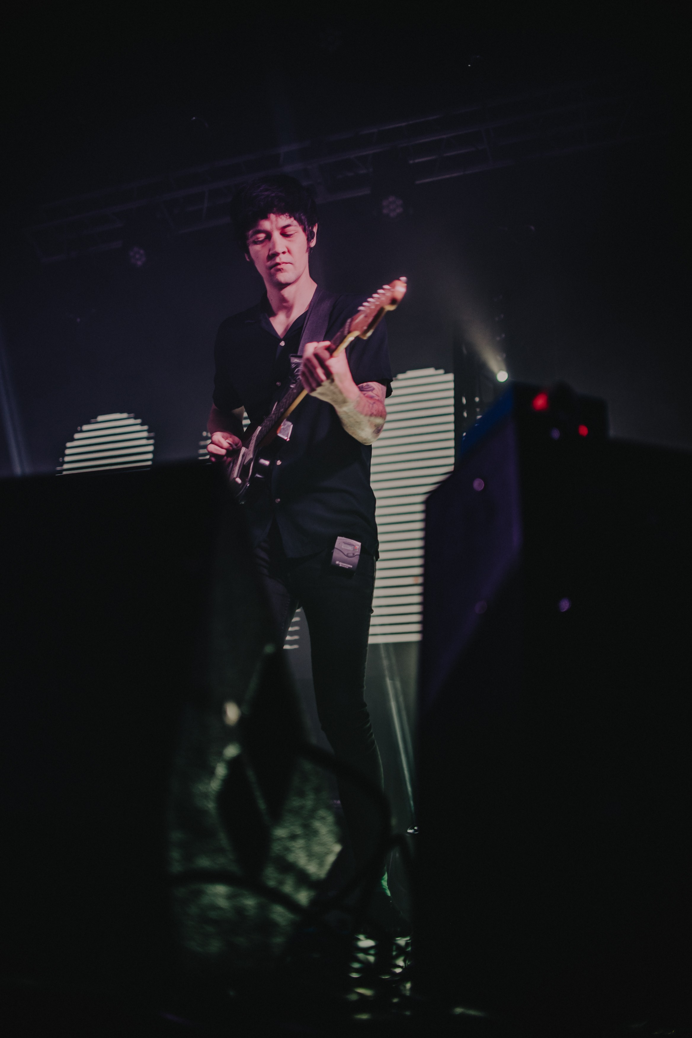 Дельфин | Gaudi. Контент фотограф Илья Урс