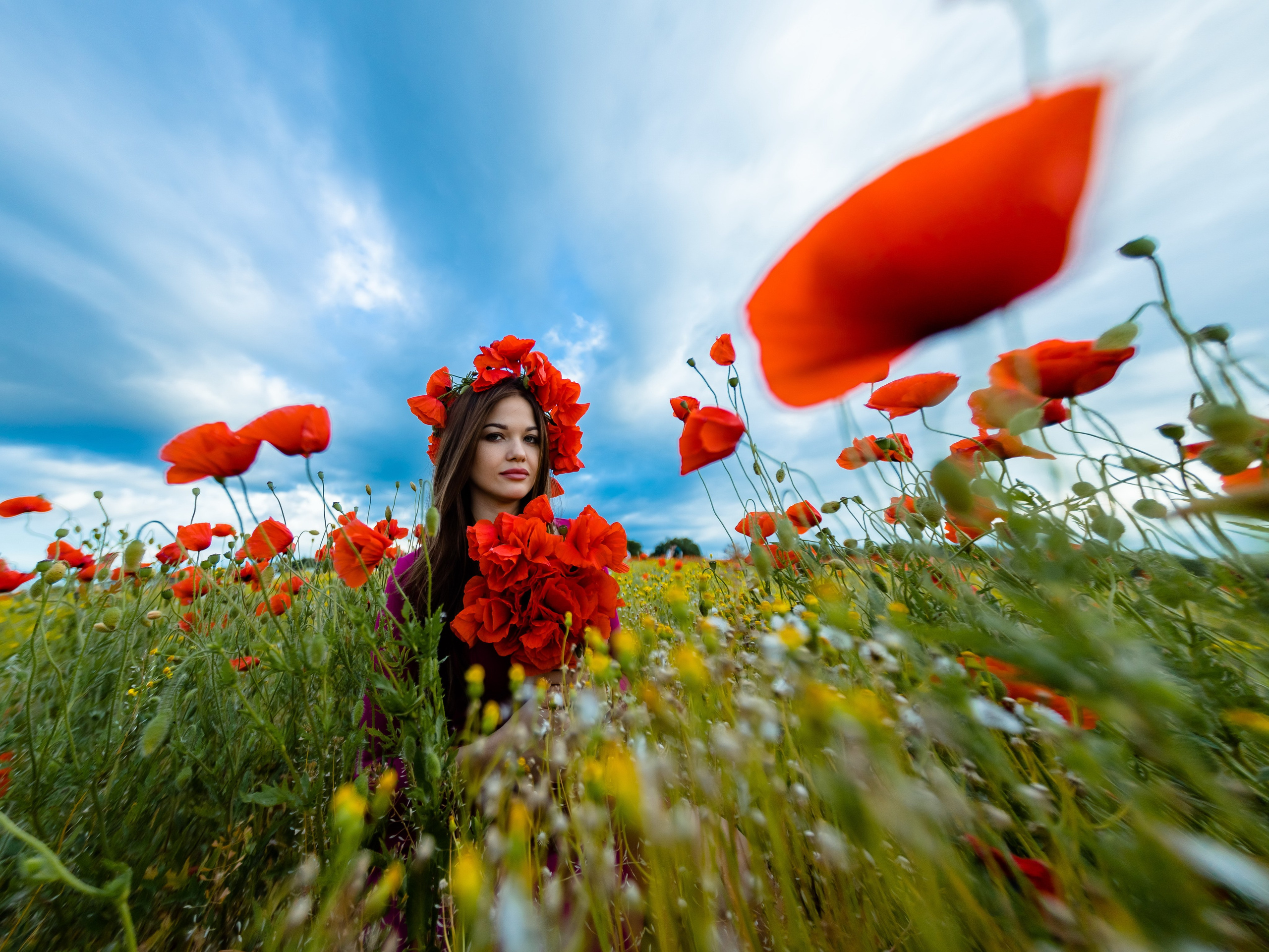 Разное. Профессиональный фотограф и видеооператор