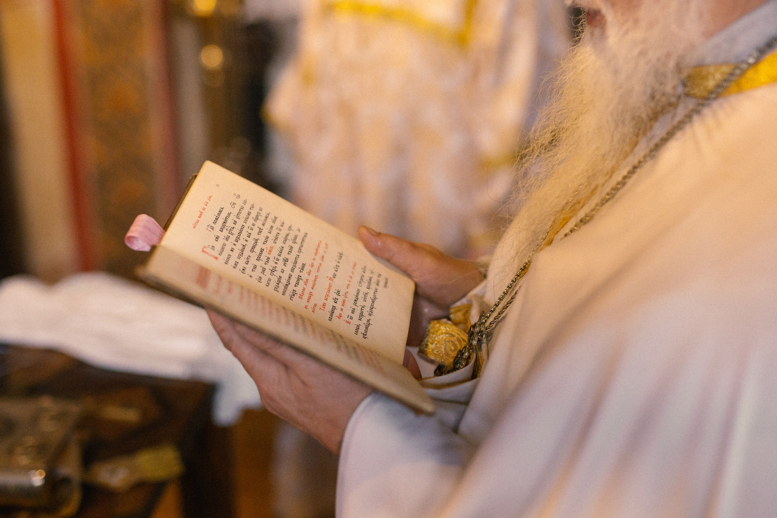 Золотая осень. Варвара Синицына: семейный фотограф в Москве