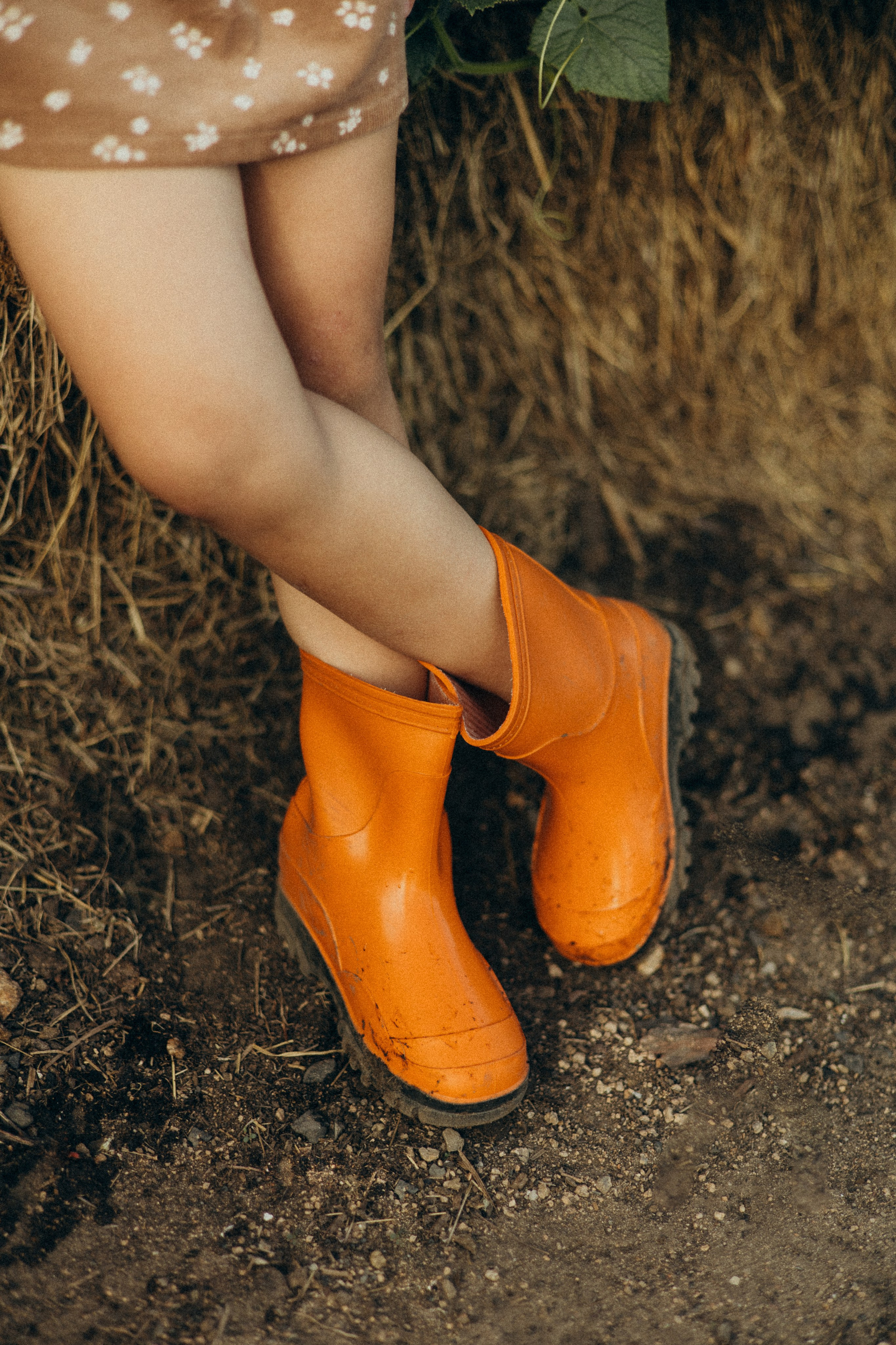 Хорошо в деревне летом…♡. Фотограф в г. Чита