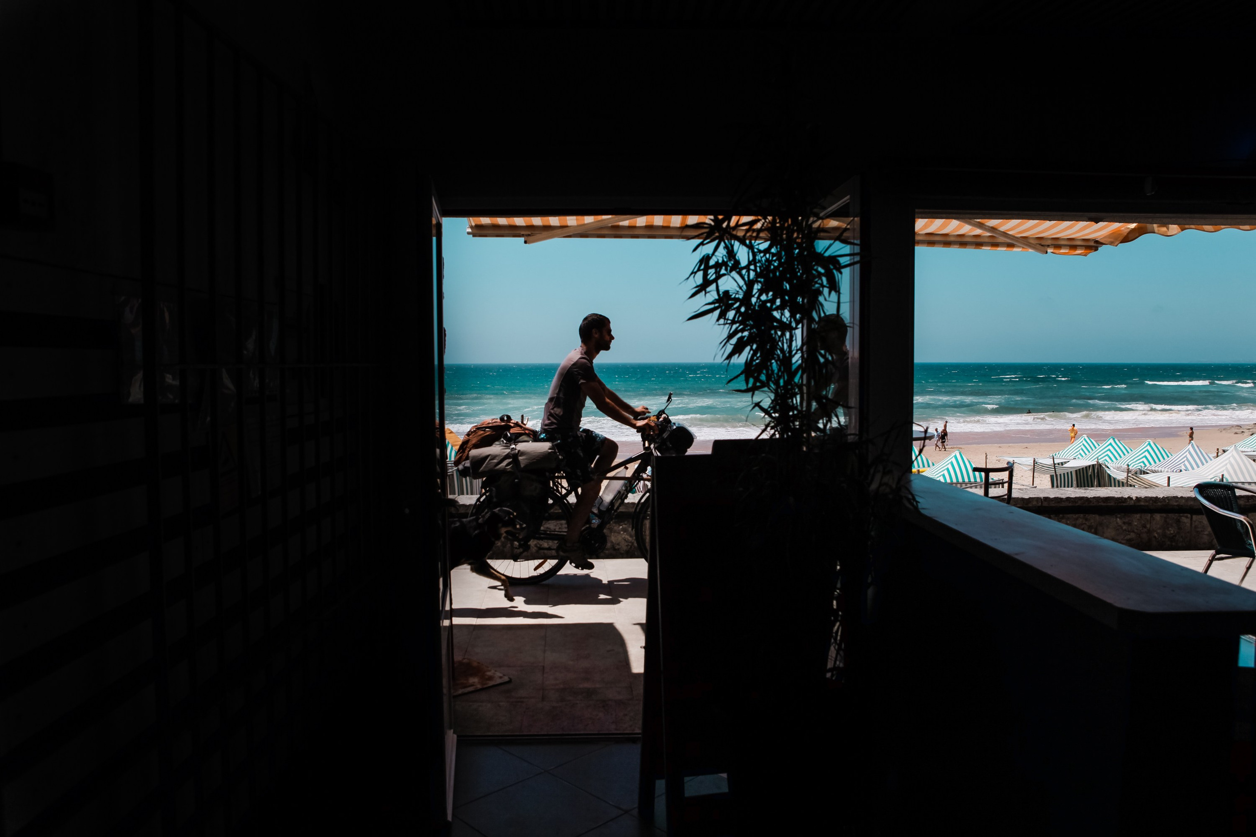 Португалия. Виолетта Скрипка