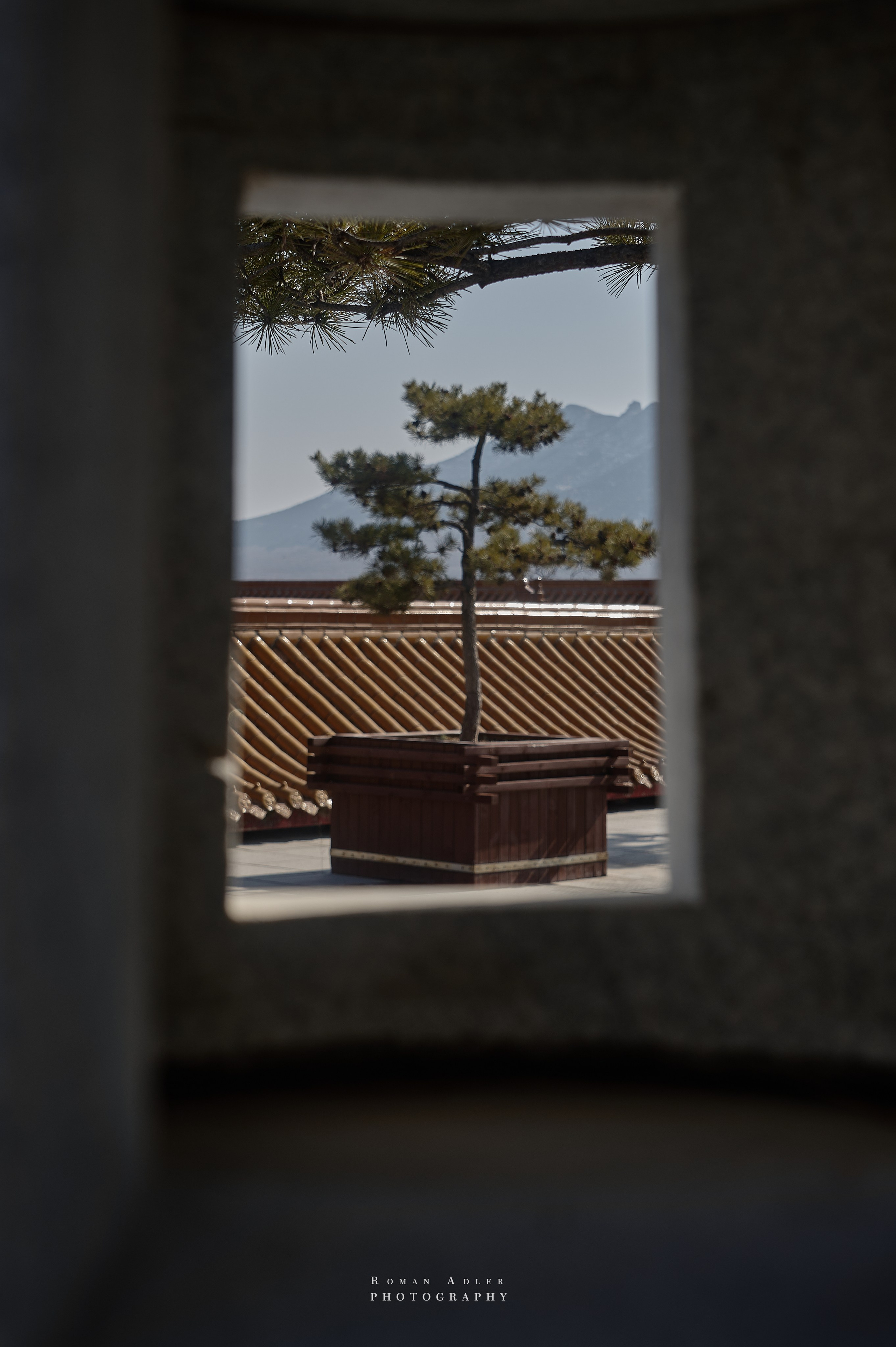 Храм Гуанфу (Процветания). Цинчжоу. Фотограф Роман Адлер