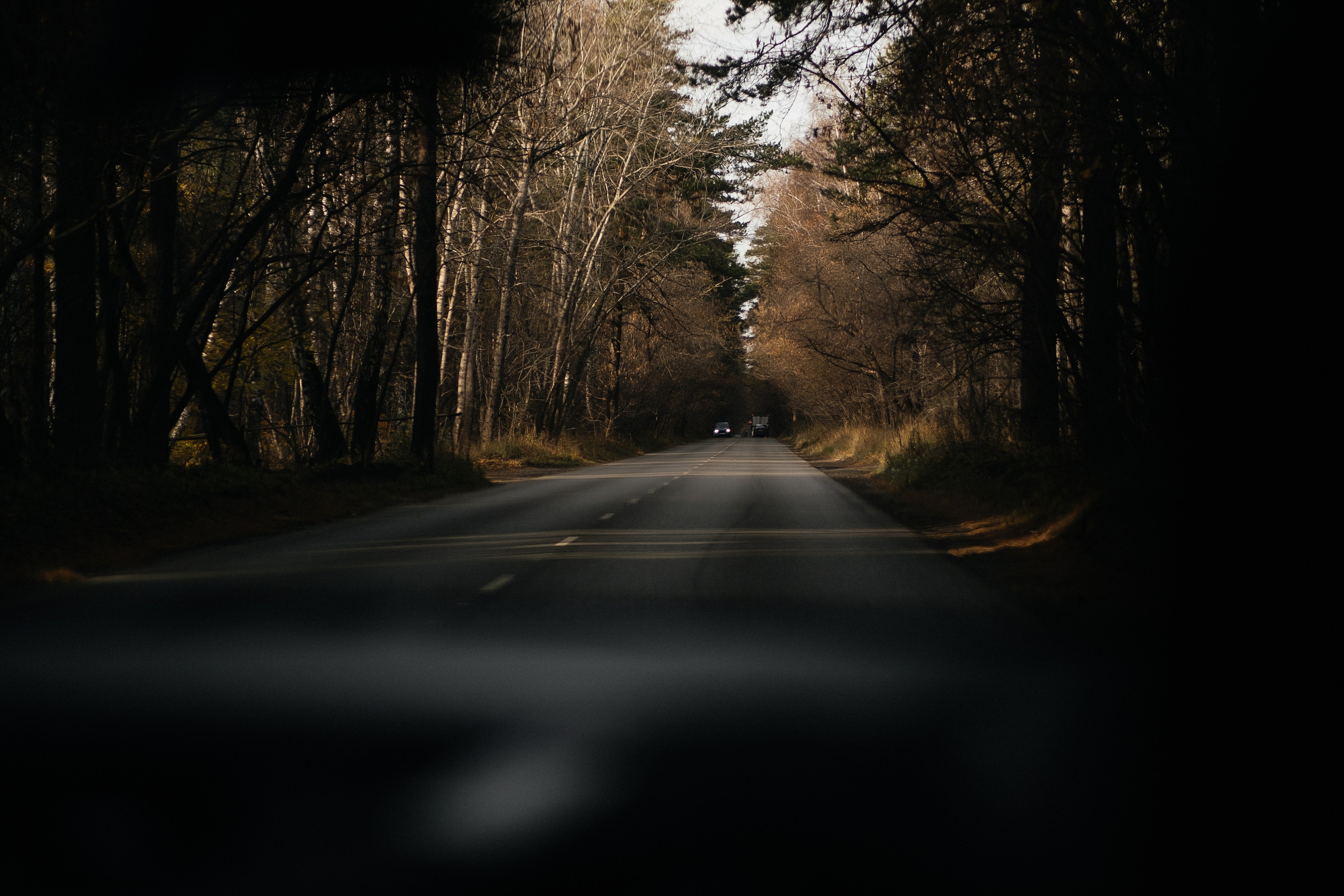 Теплый октябрь. Свадебный и семейный фотограф Барнаул Рубцовск Бийск Алтайский край