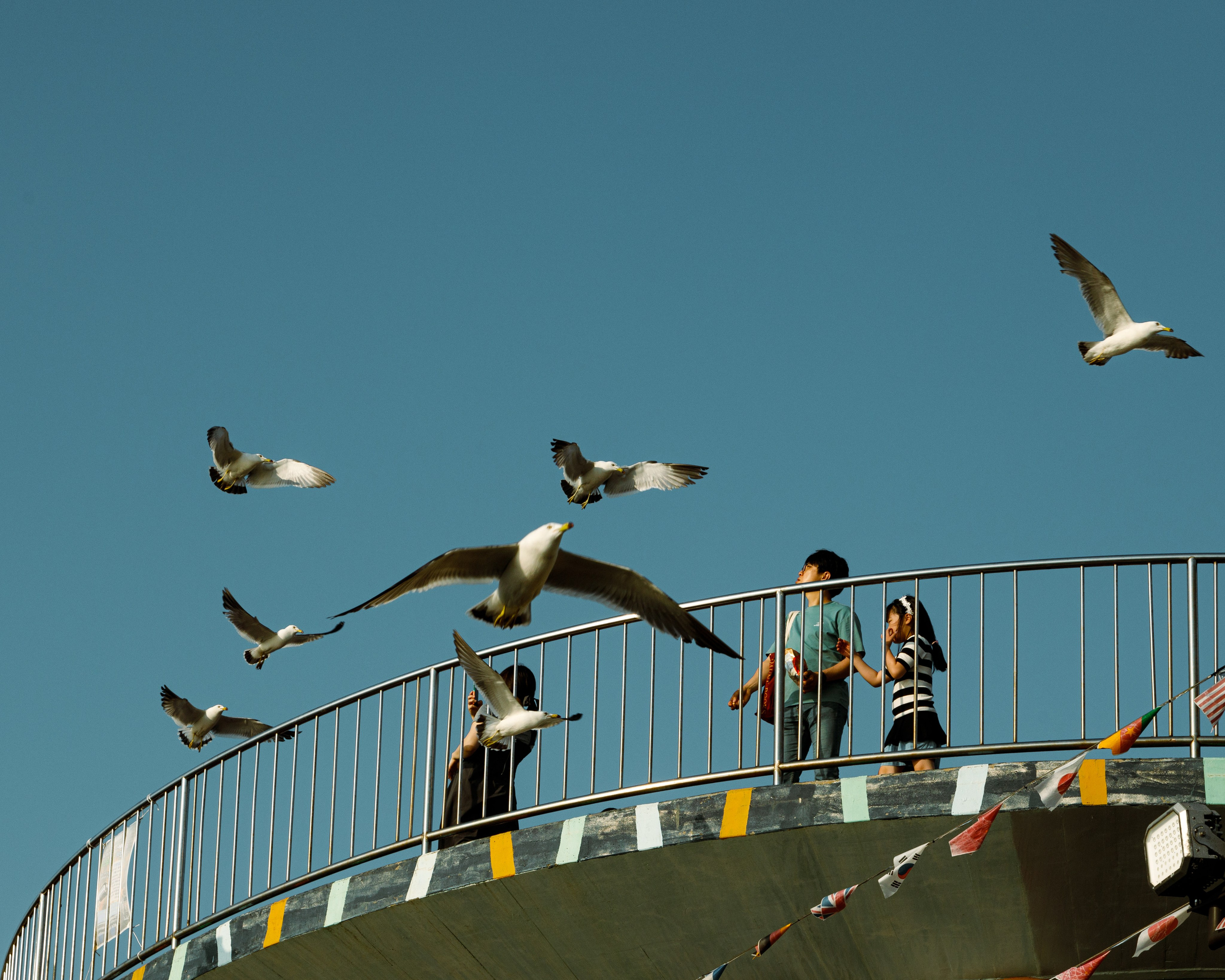 Южная Корея. Фотограф Павел Подшивалов