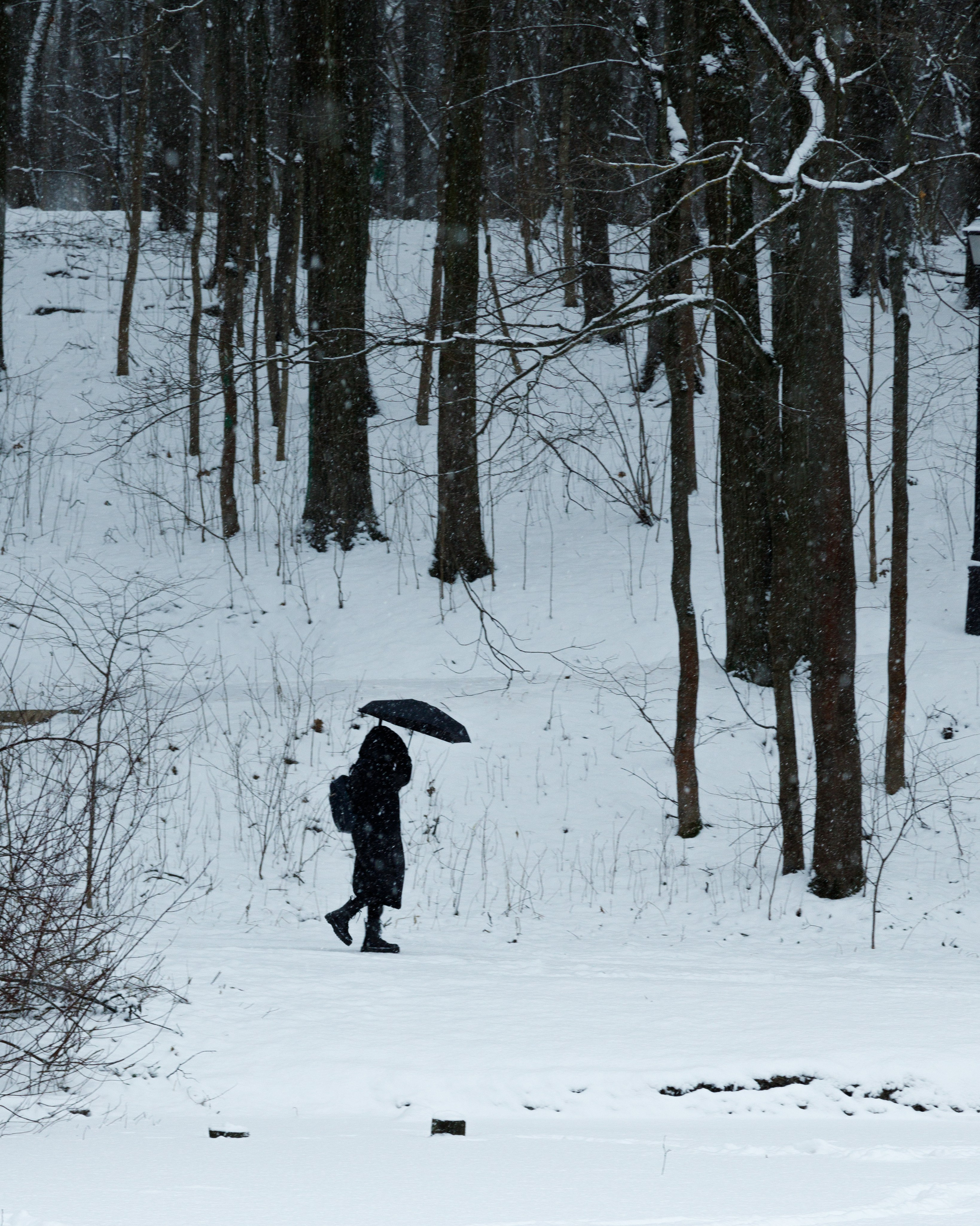 СТРИТ. Фотограф Павел Подшивалов