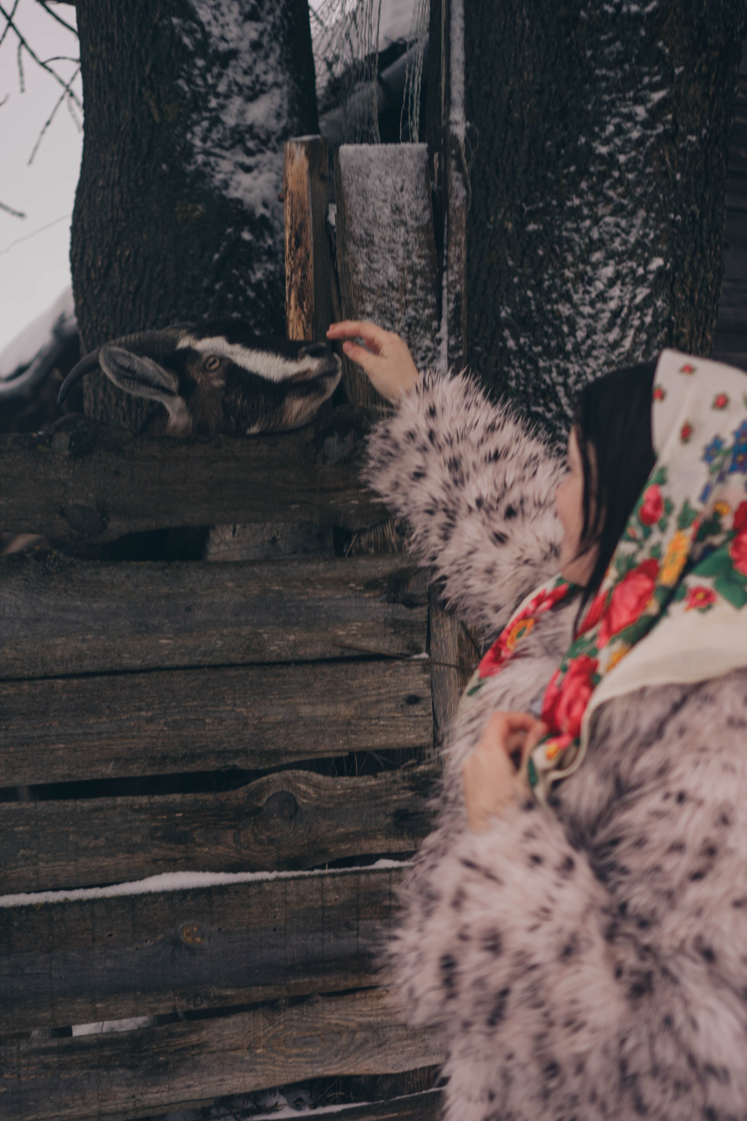 Деревня. Профессиональный фотограф, Санкт-Петербург — Виктория Богомолова