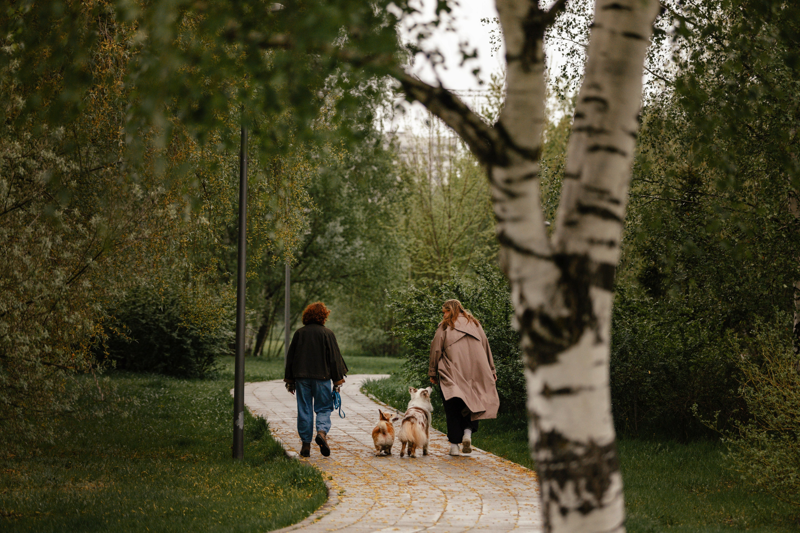 Москва / Мария и Уно, Рита и Соло. Фотограф Кузина Вера