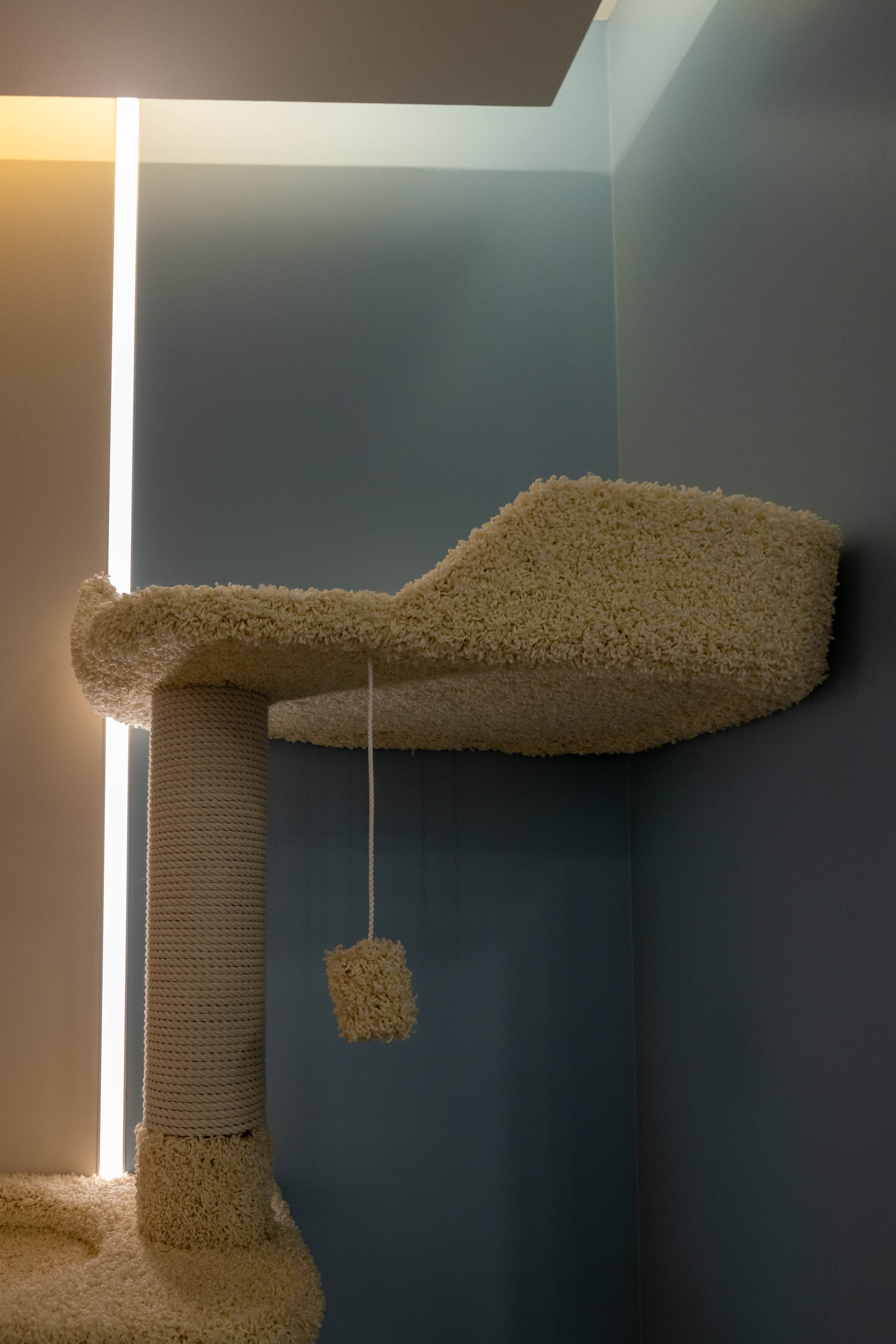 Flat. Fotograf Dmitrii Donets