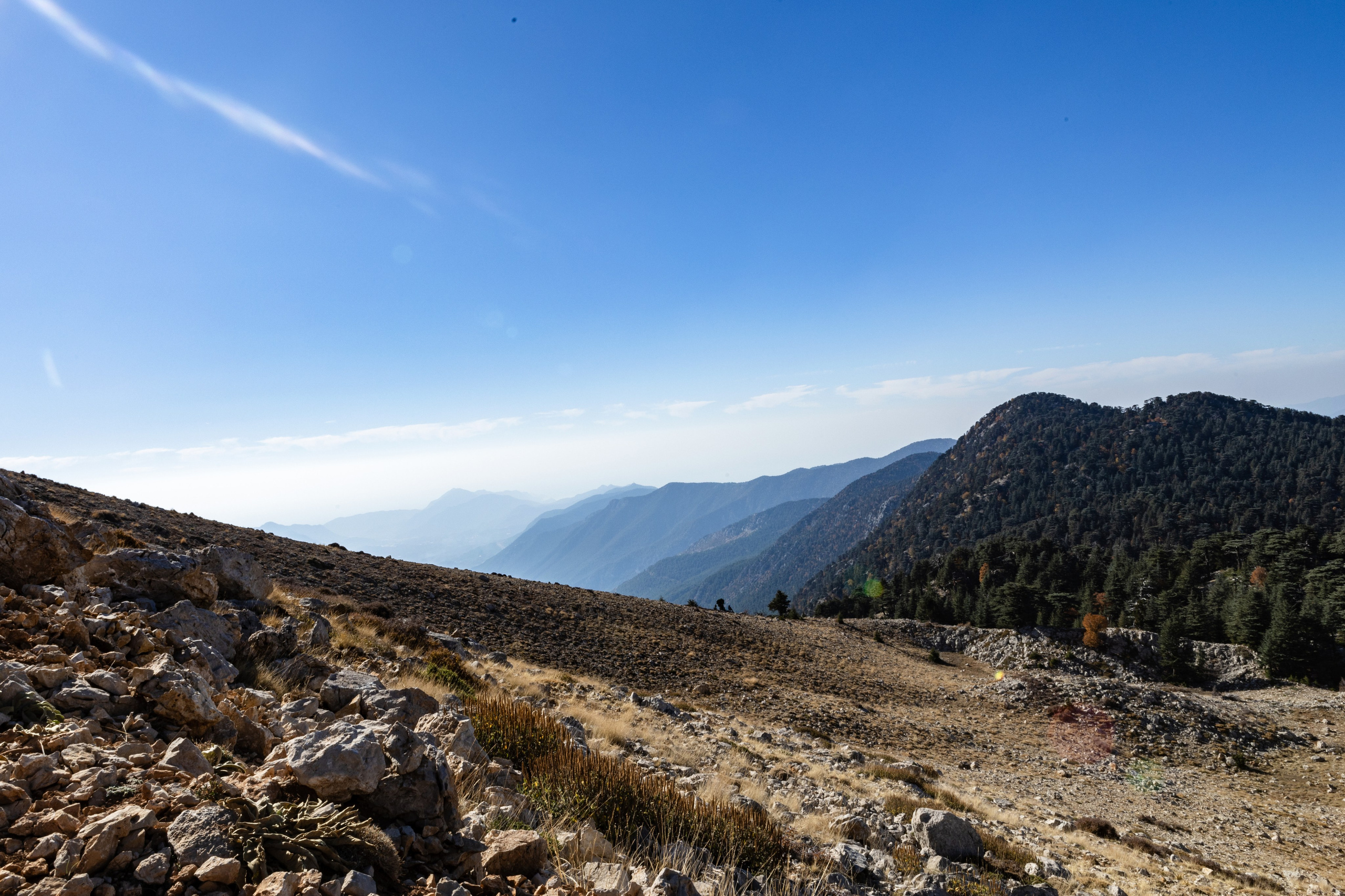 Travel. Индивидуальная и семейная съёмка. Москва, Наталья Самохвалова