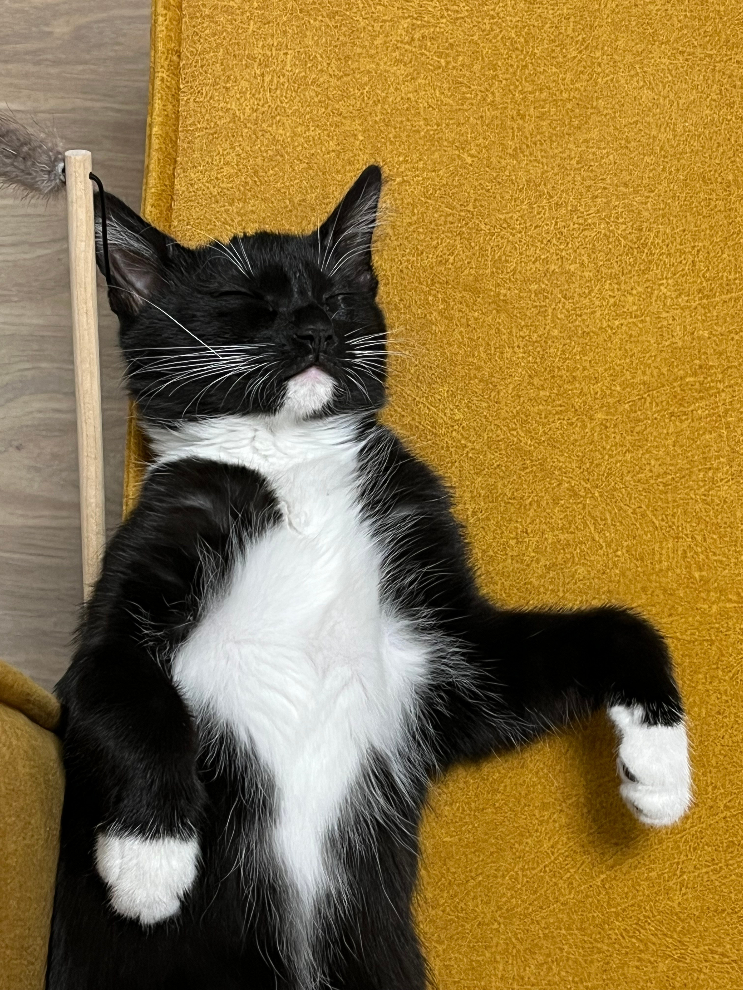 Визуальный дневник. Портретный фотограф в Москве Гахраманова Екатерина