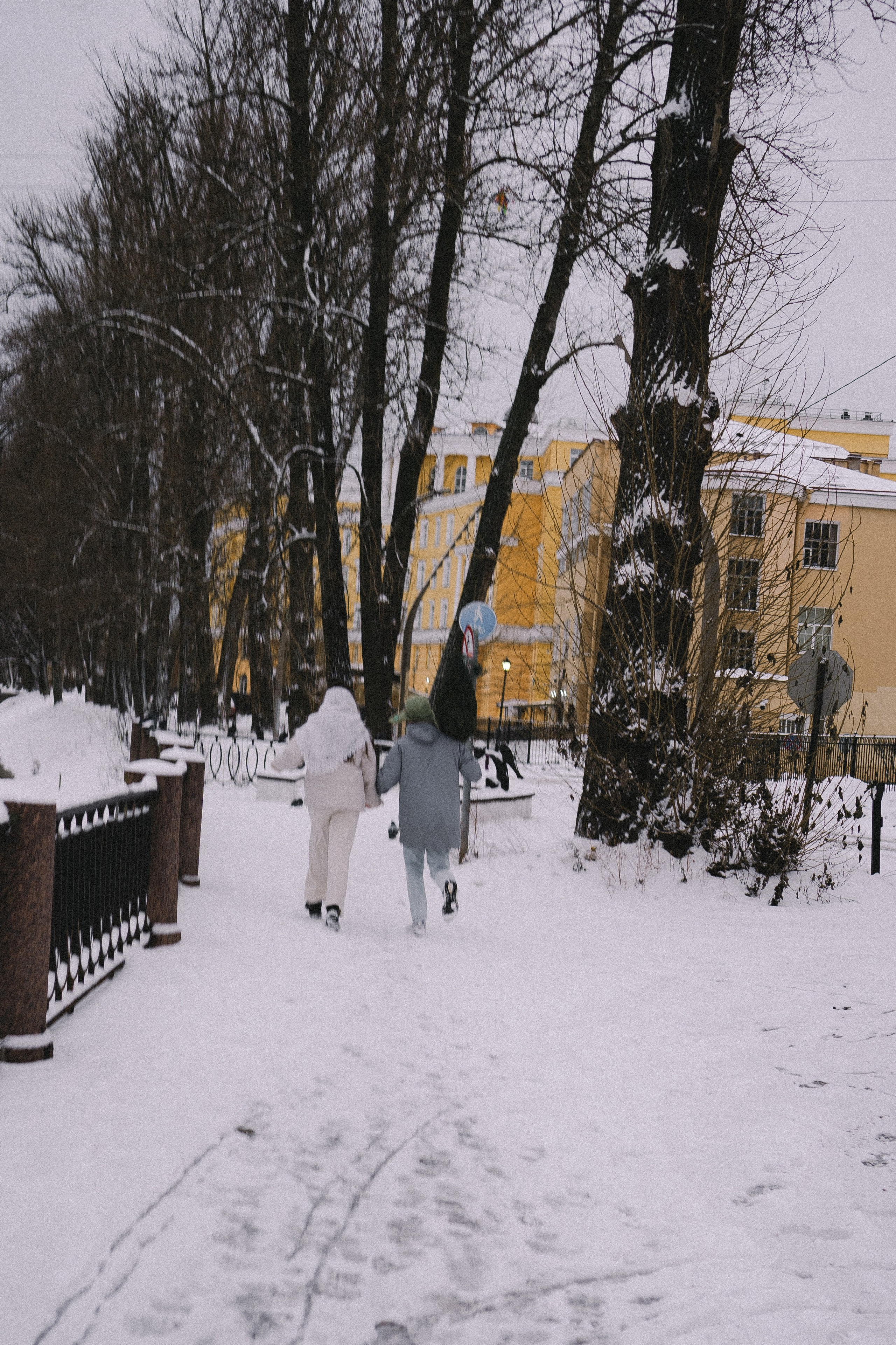 Зимняя история. Профессиональный фотограф, Санкт-Петербург — Виктория Богомолова