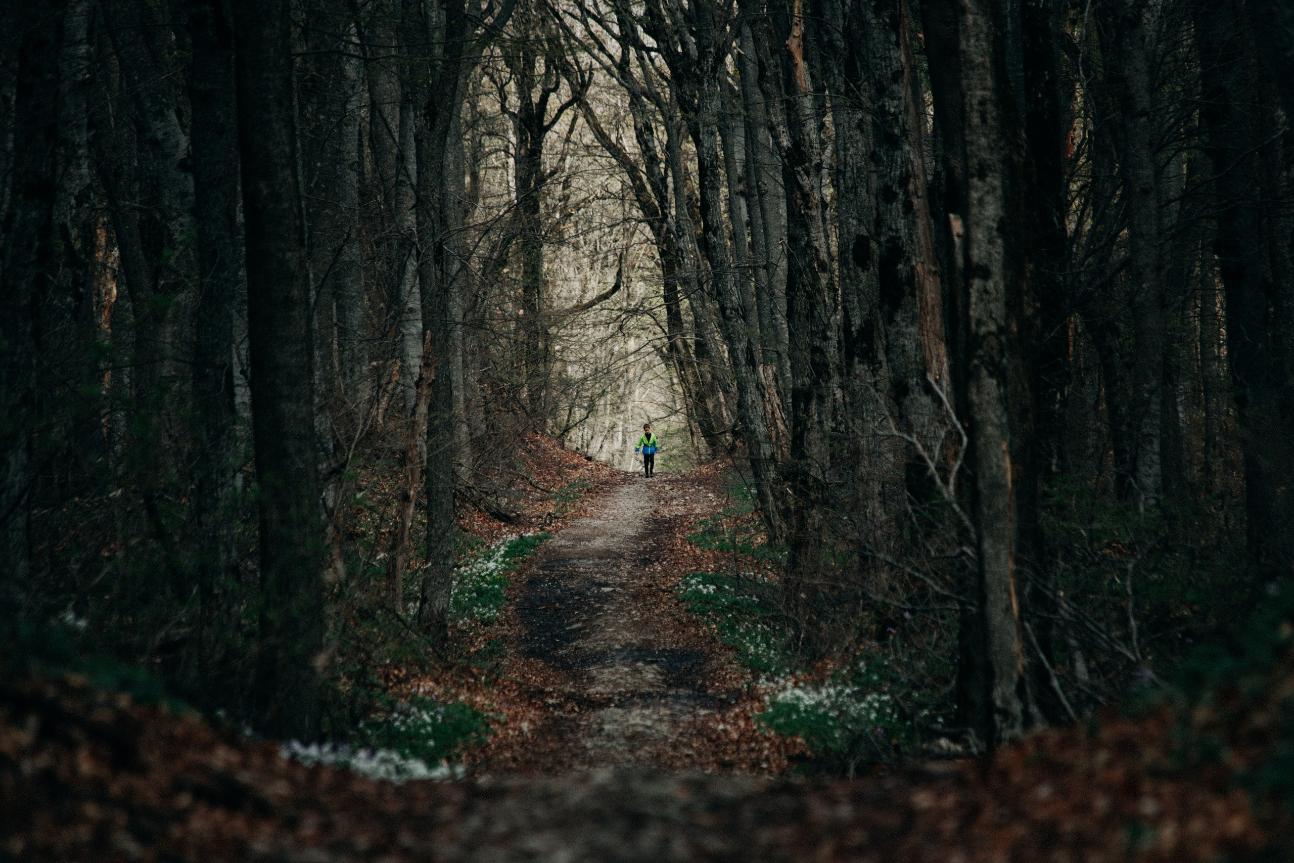 Ориентирование/рогейн. Спортивный фотограф Тремпольцева Анна